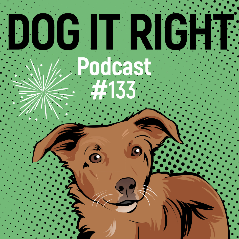 #133: Bullshit-Gedanken rund um Silvester mit Hund