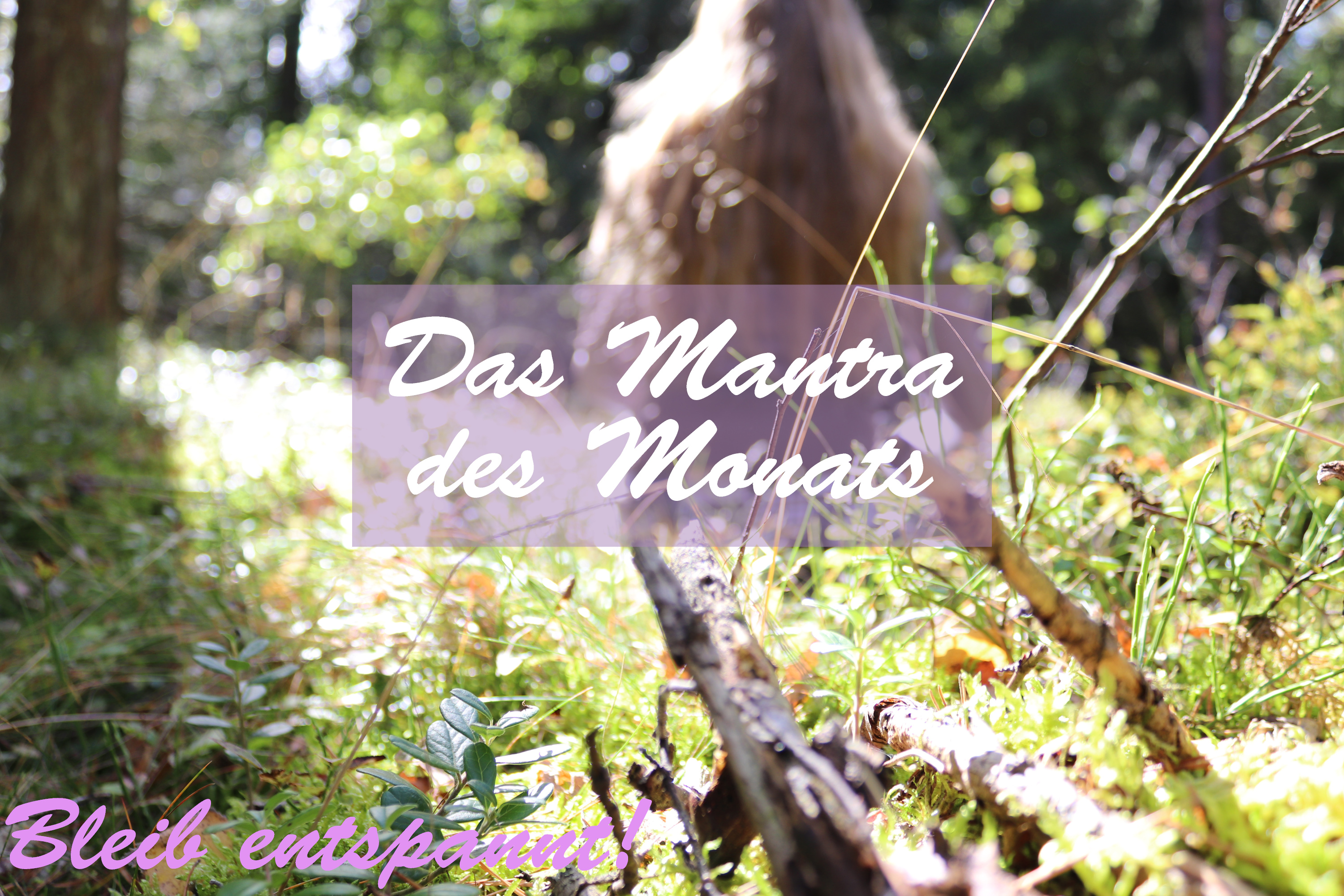 Bleib entspannt! Der Meditations-Podcast - magische Momente für Kinder & Eltern