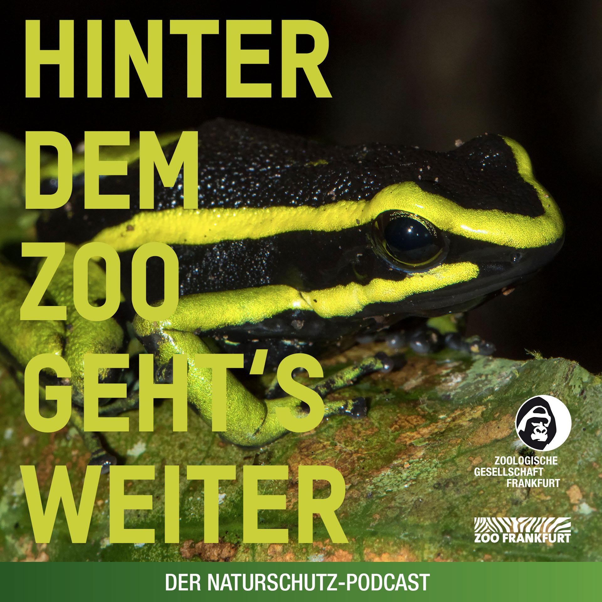 Hinter dem Zoo geht\'s weiter - Der Naturschutzpodcast aus Frankfurt