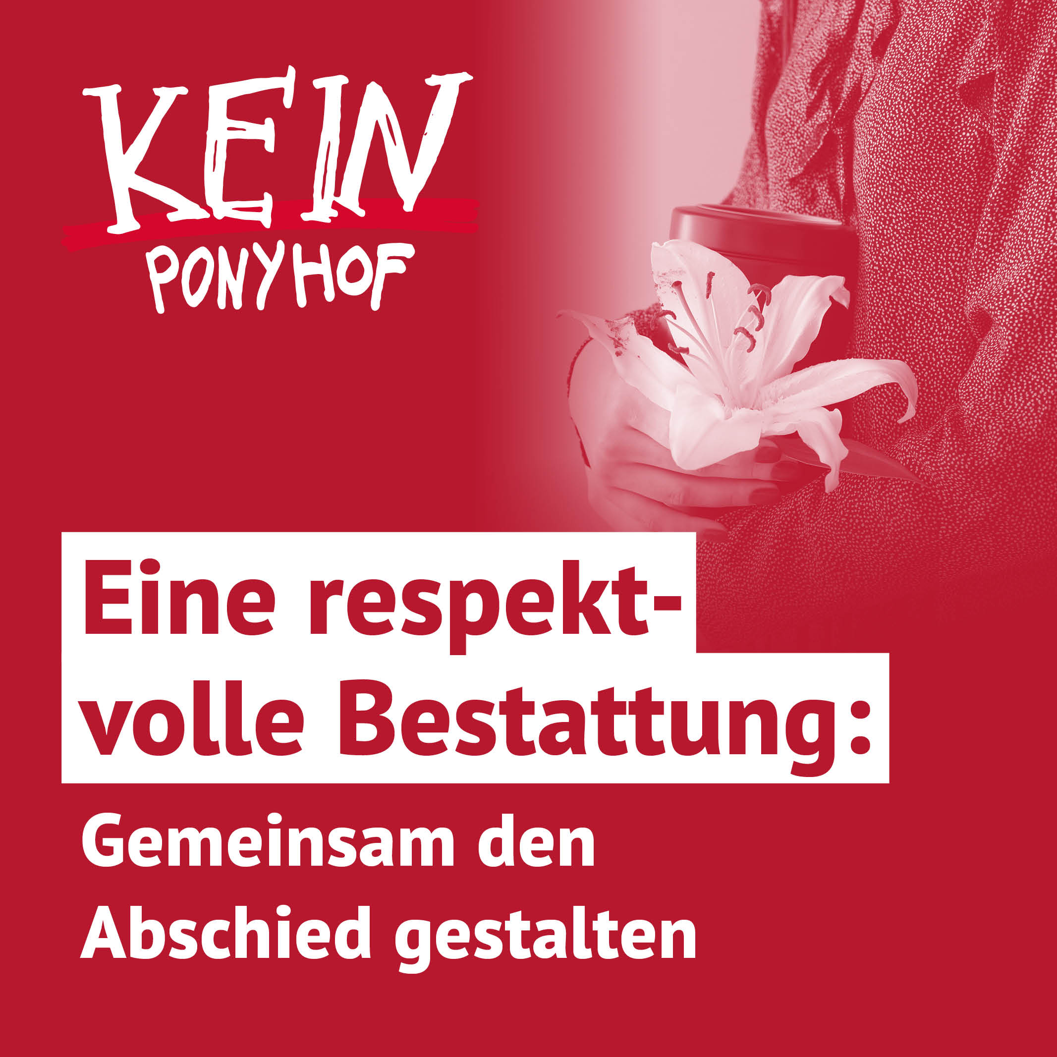 Kein Ponyhof - Aus dem Alltag einer Sozialberatung