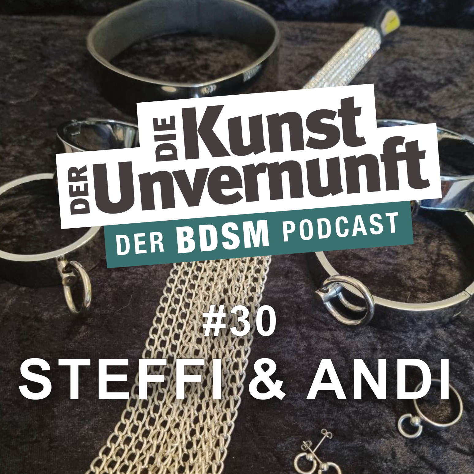 BDSM - Die Kunst der Unvernunft