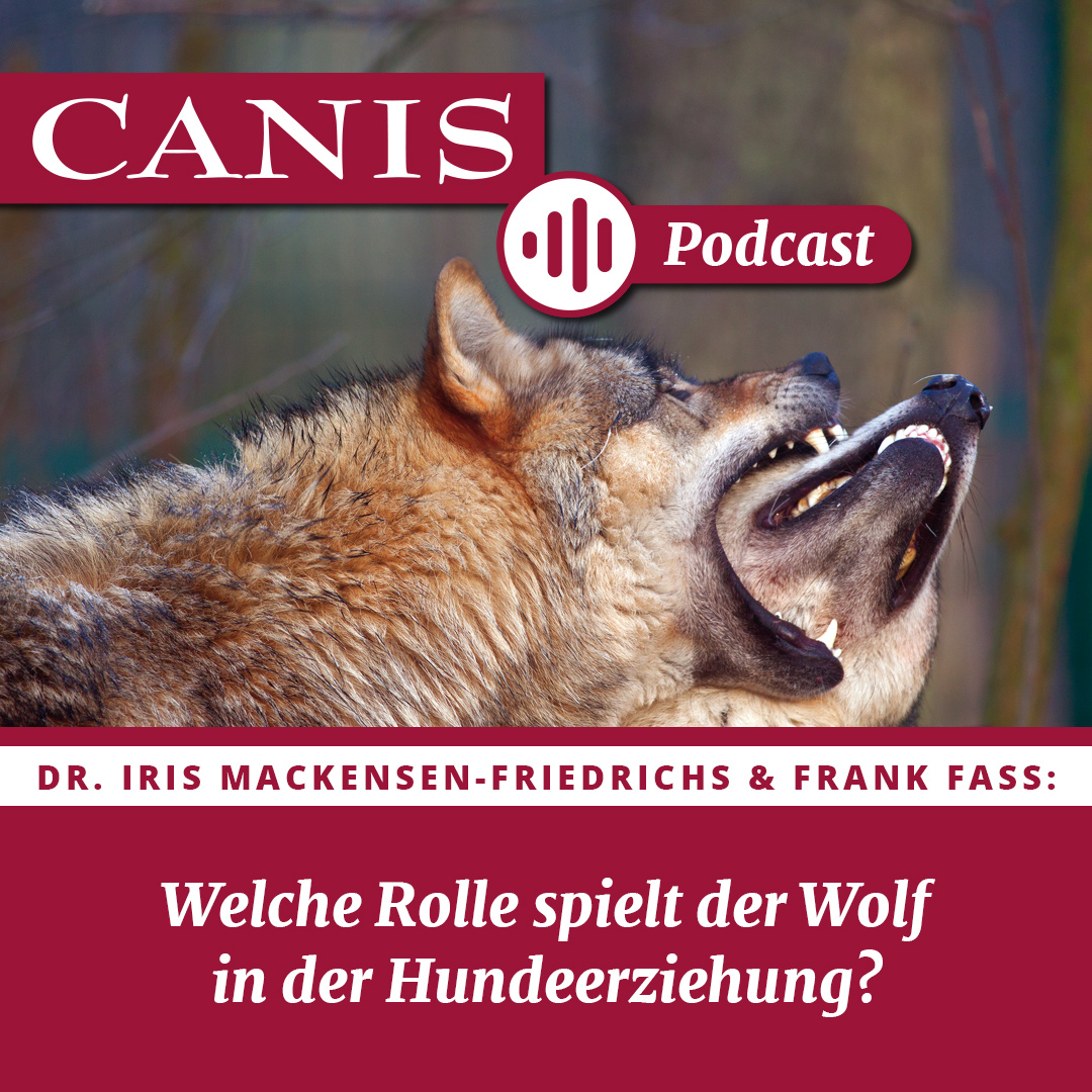 Der CANIS-Podcast – Hundeexpert:innen ausgefragt