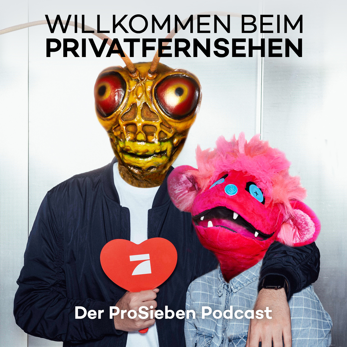Willkommen beim Privatfernsehen – Der ProSieben Podcast