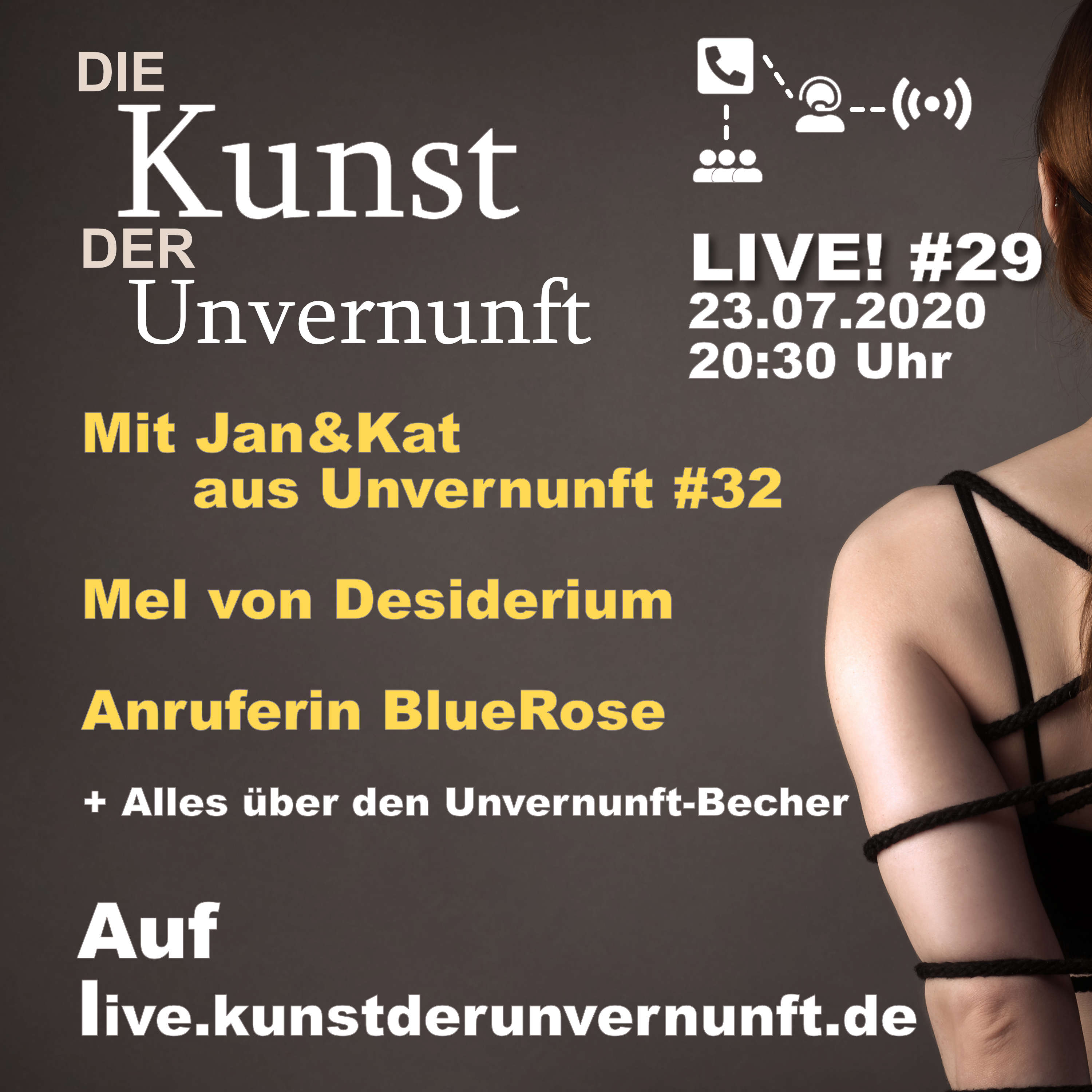 BDSM - Die Kunst der Unvernunft