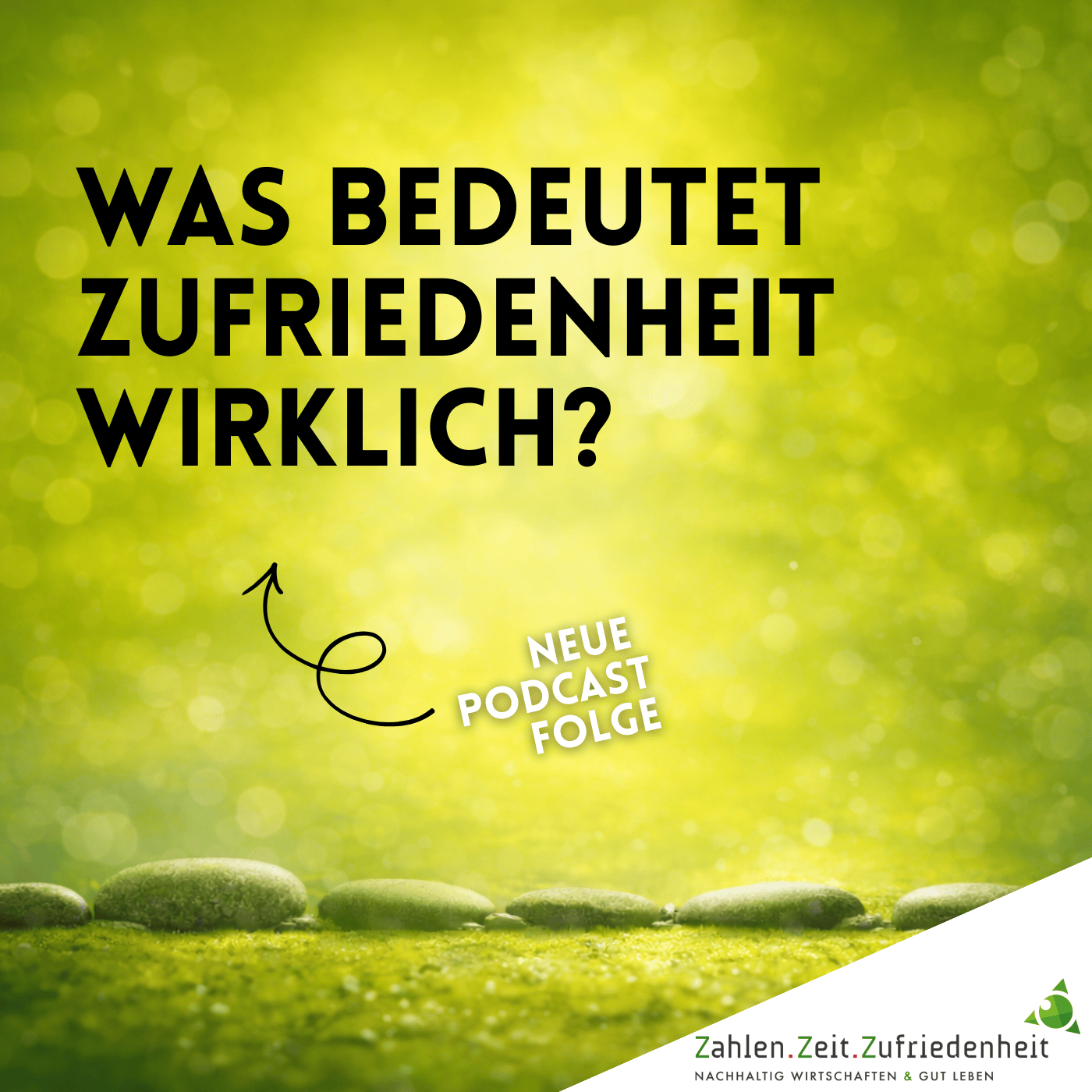Was bedeutet Zufriedenheit wirklich – jenseits von Geld und Erfolg? episode artwork
