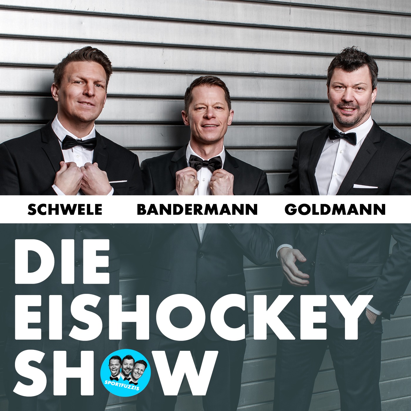 Die Eishockey Show