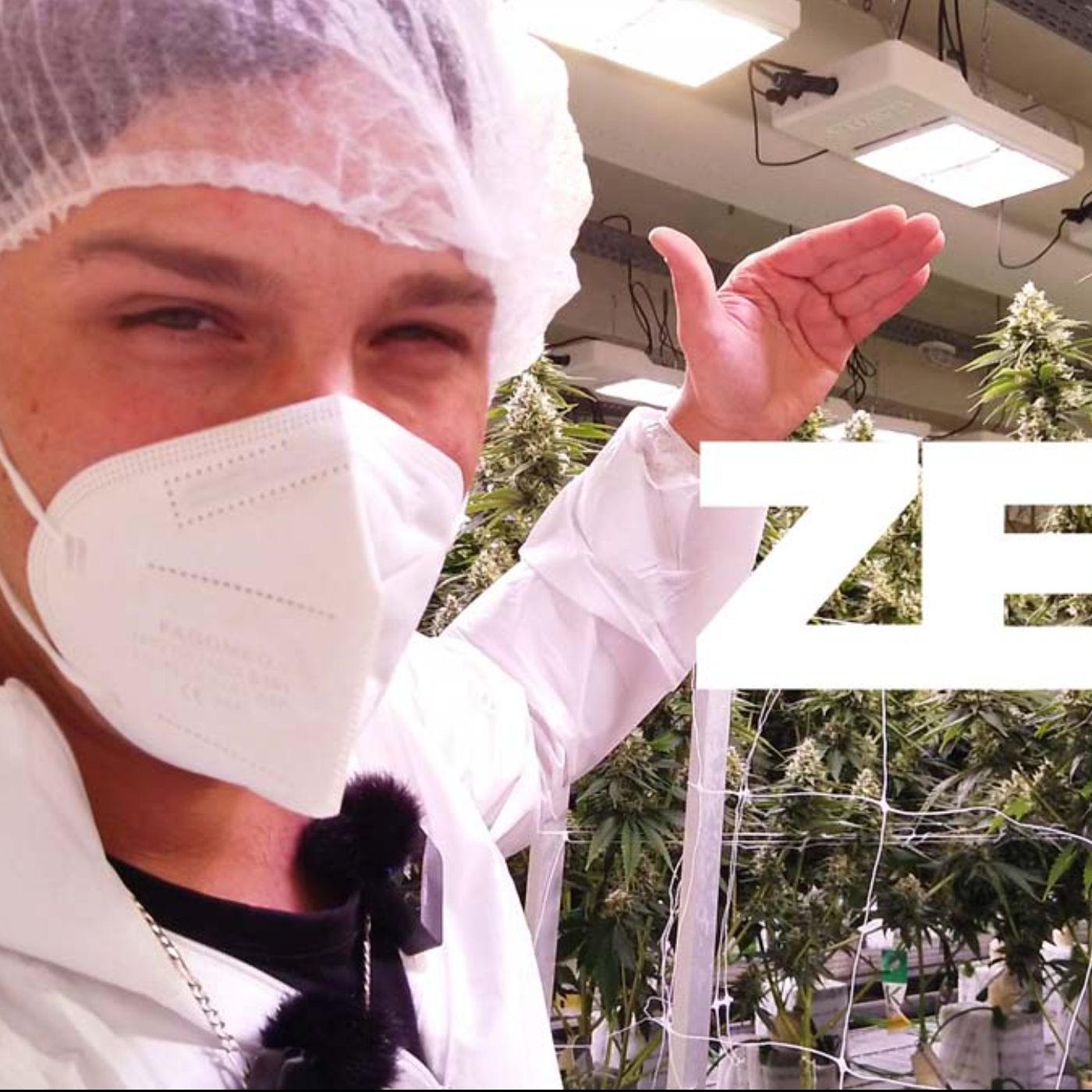 CannaZen 🥦 News & Wissen