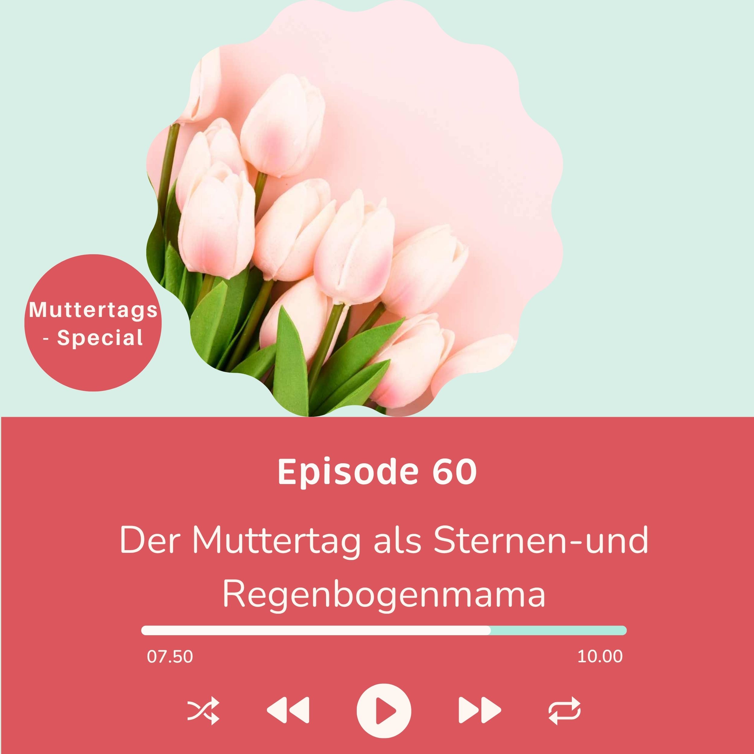 Folge 060 - Muttertag als Sternen-und Regenbogenmama episode artwork