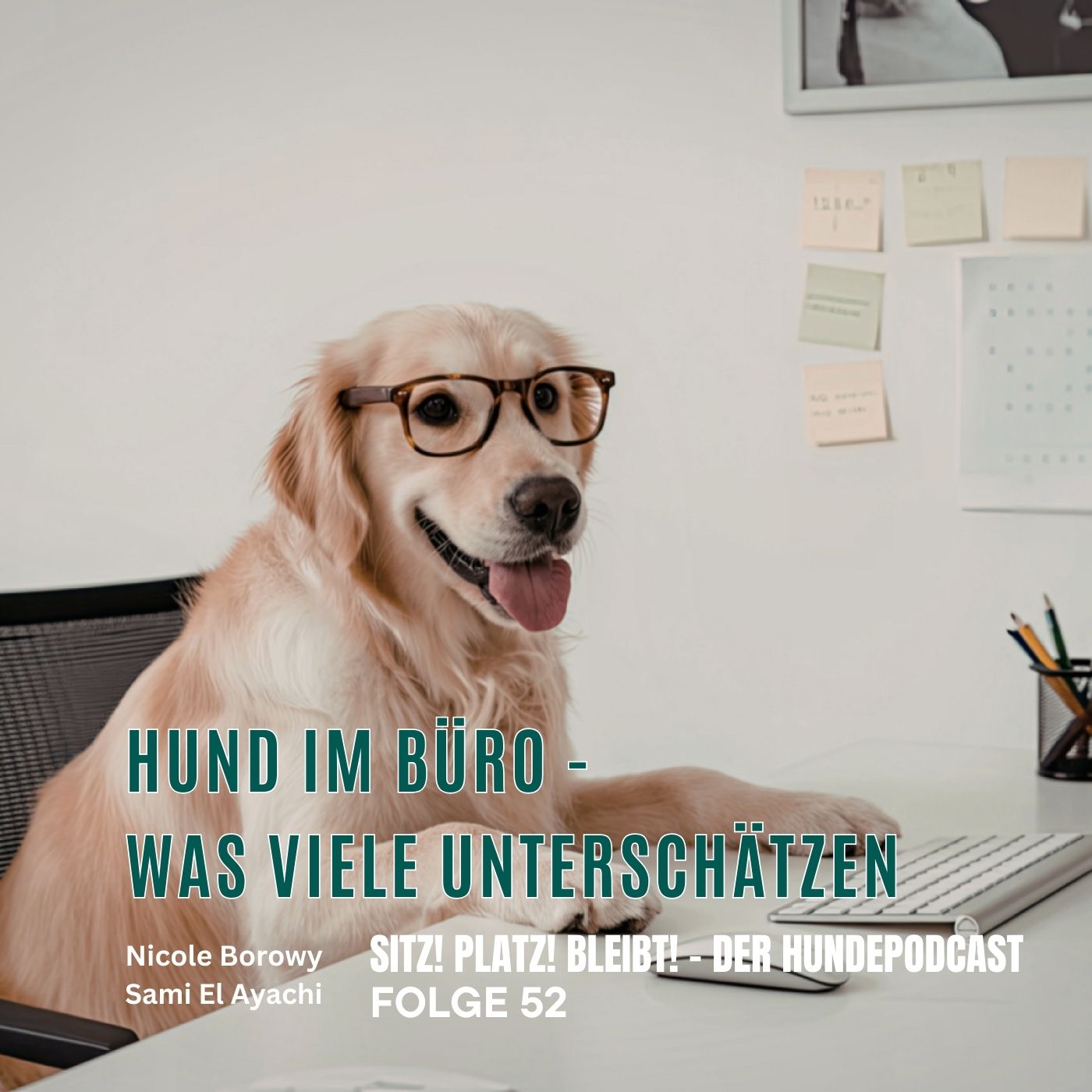 #52 Hund im Büro - was viele unterschätzen #52 Hund im Büro - was viele unterschätzen