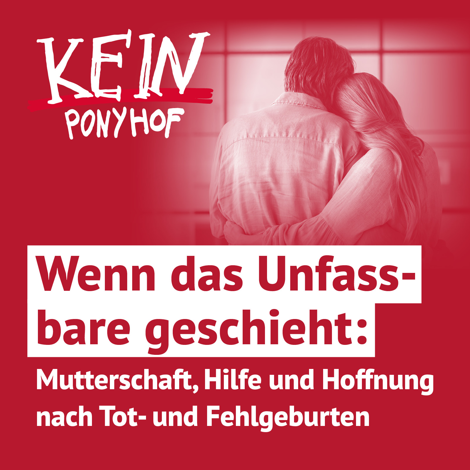 #52 Wenn das Unfassbare geschieht: Mutterschaft, Hilfe und Hoffnung nach Tot—und Fehlgeburten episode artwork
