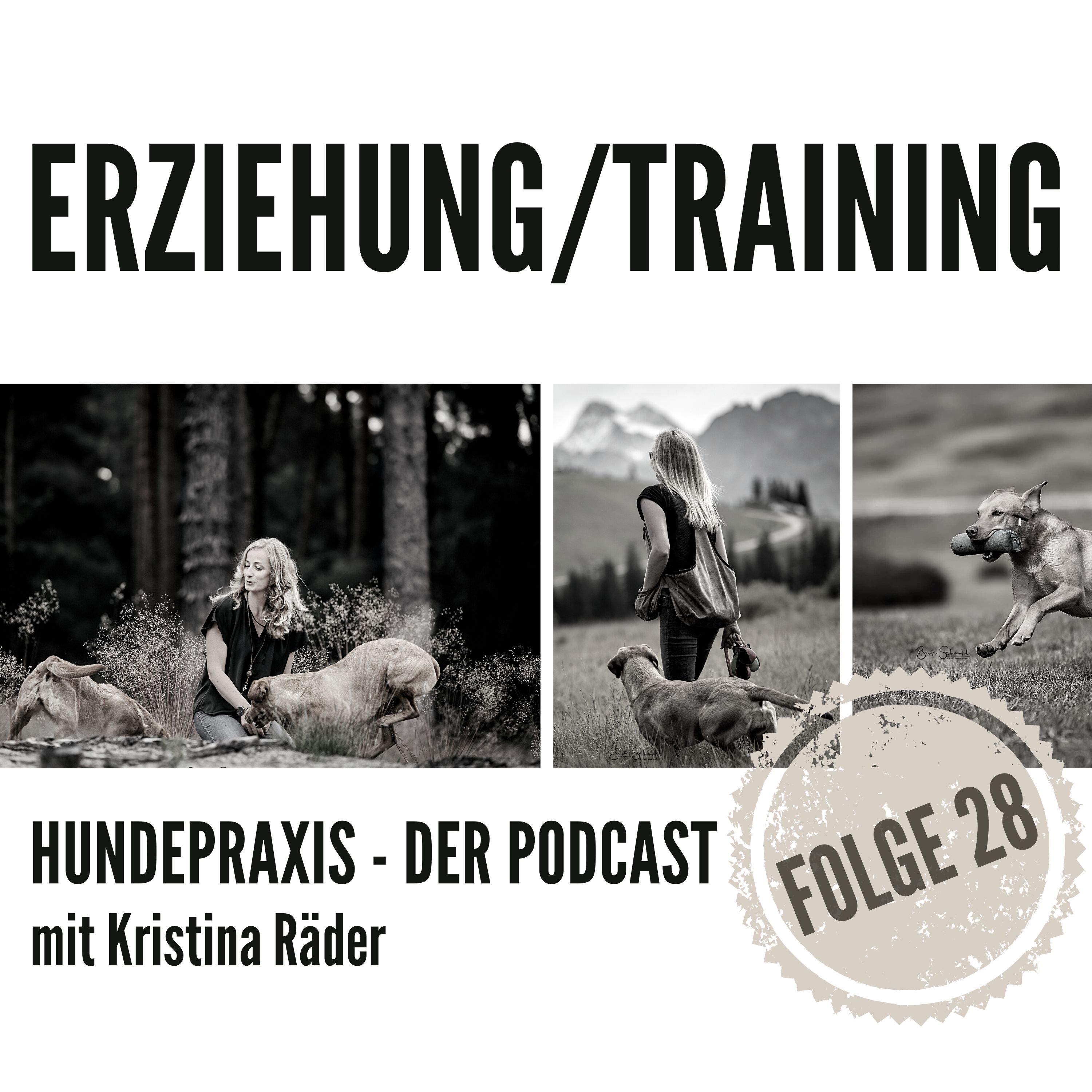 Hundepraxis - der Podcast