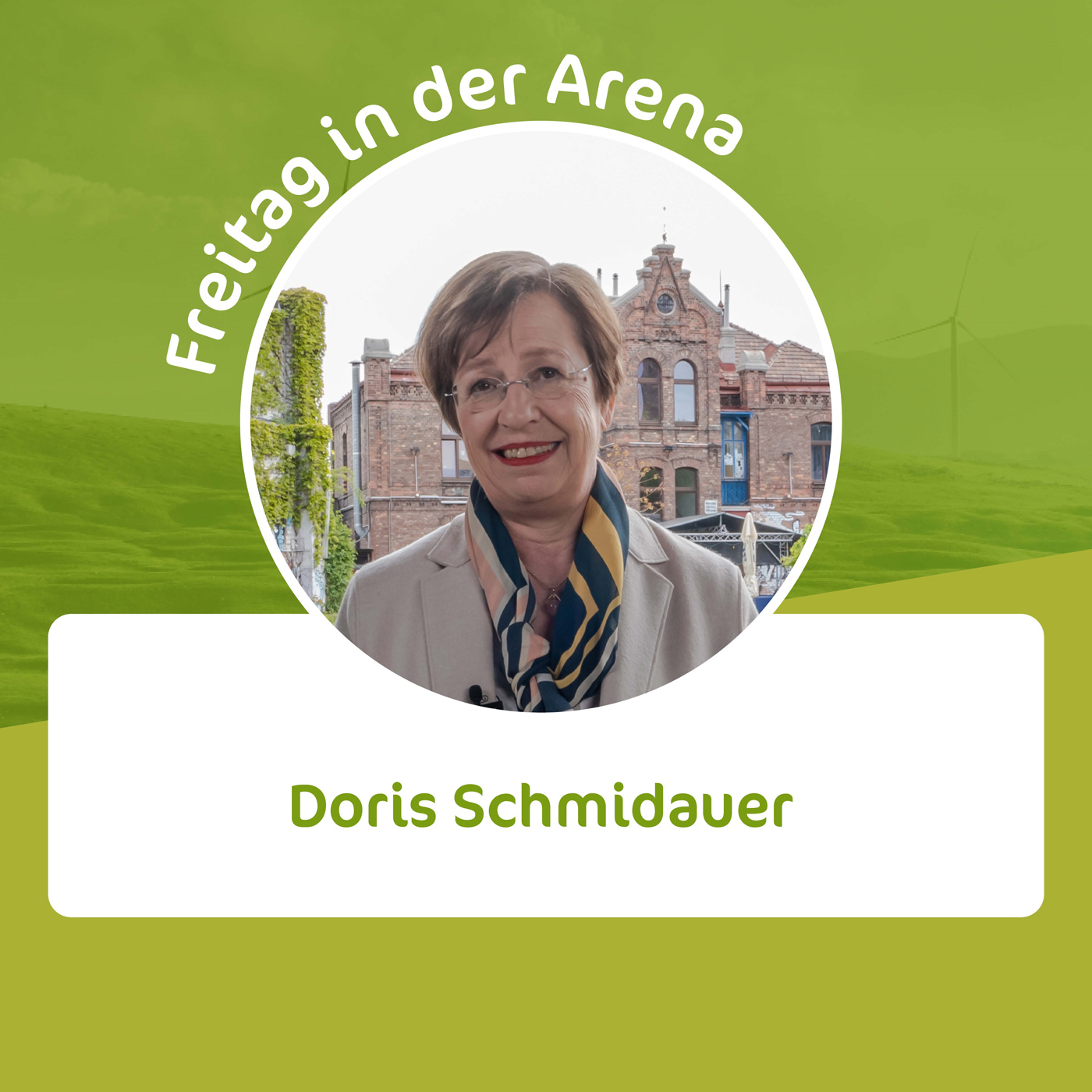 Freitag in der Arena - der oekostrom AG-Talk