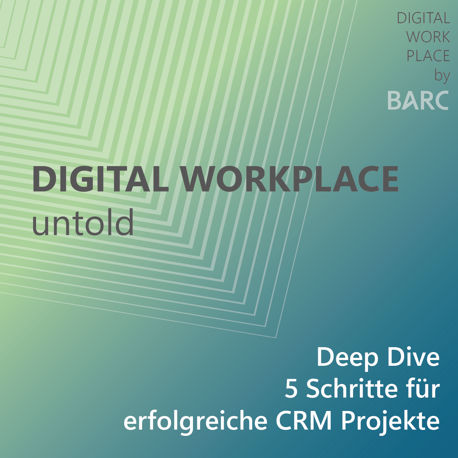 5 Schritte für erfolgreiche CRM Projekte episode artwork
