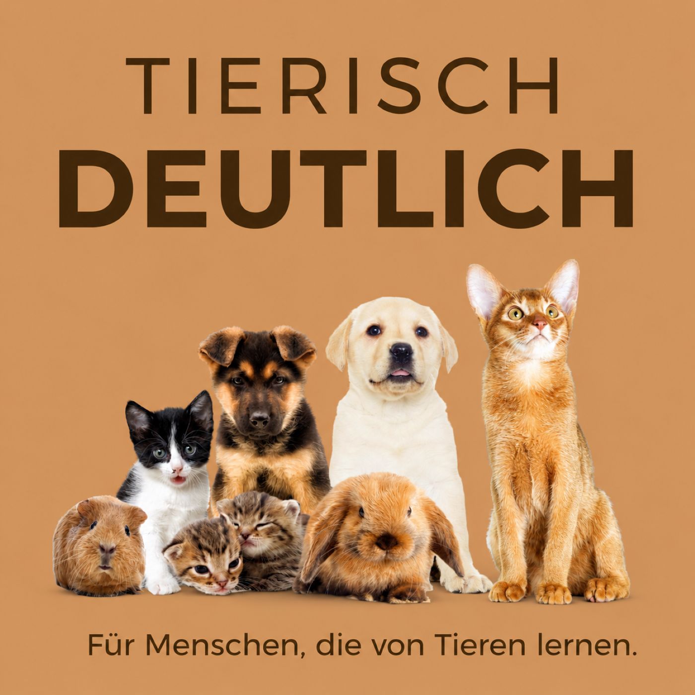 005 Was möchte mein Tier mir zeigen? episode artwork