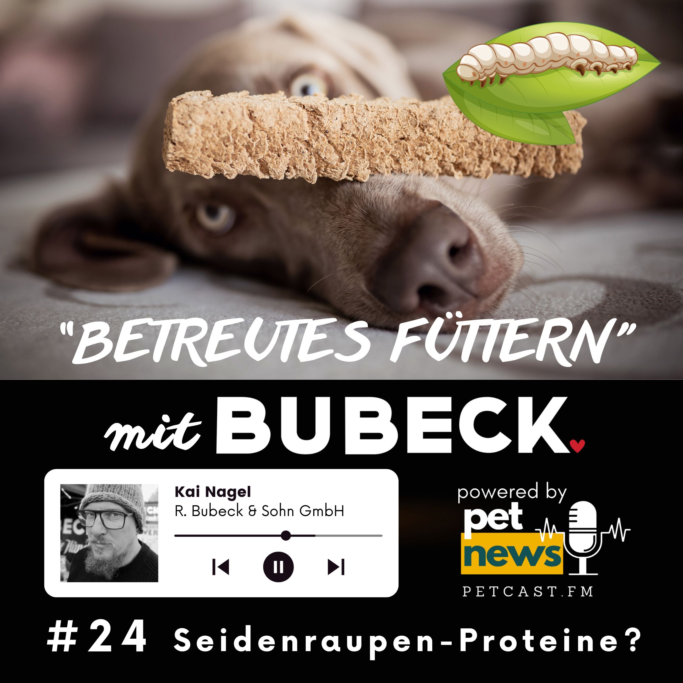 Betreutes Füttern mit Bubeck - Die älteste Hundefuttermanufaktur von 1893