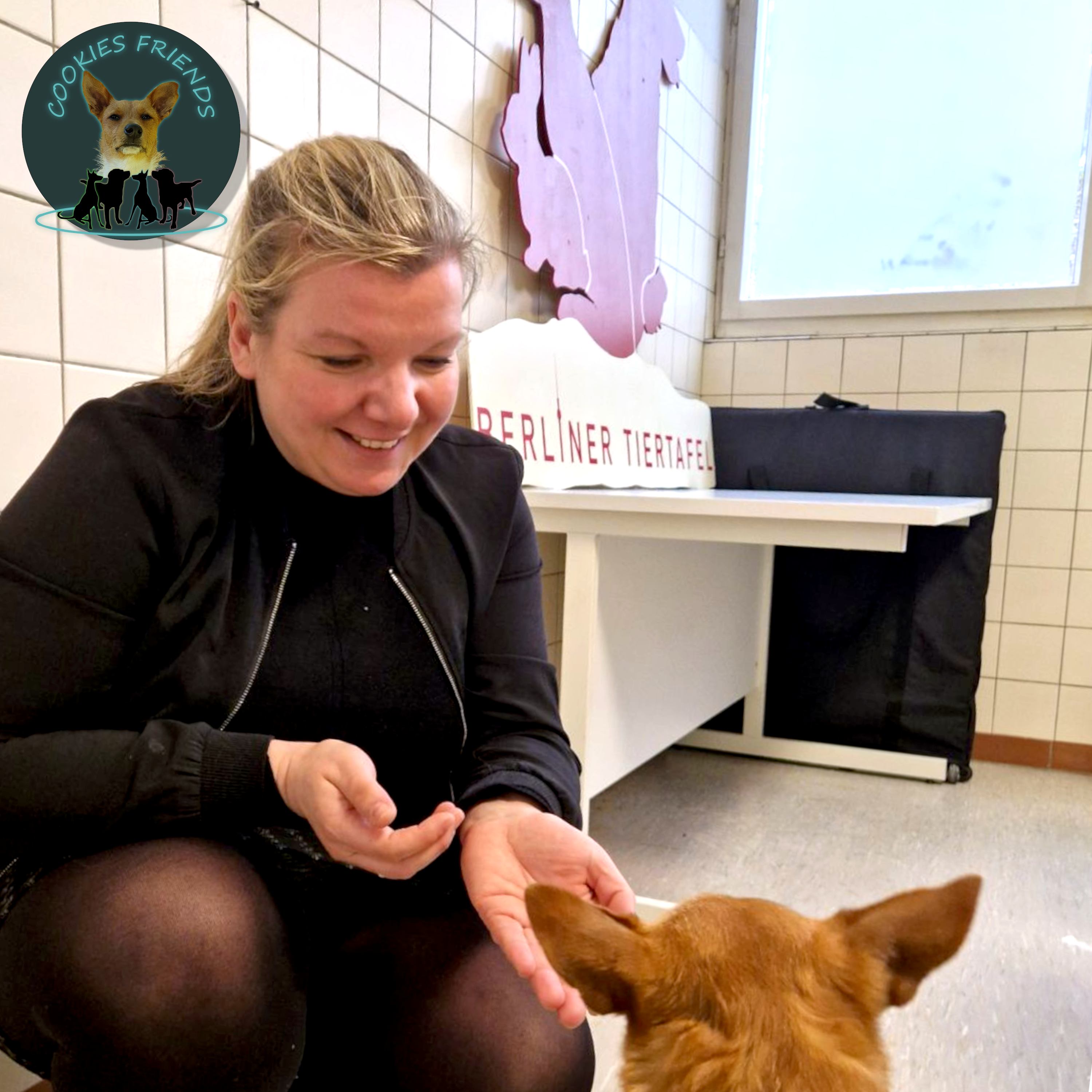 Cookies Friends. Der Podcast für Tierschutz-Hunde