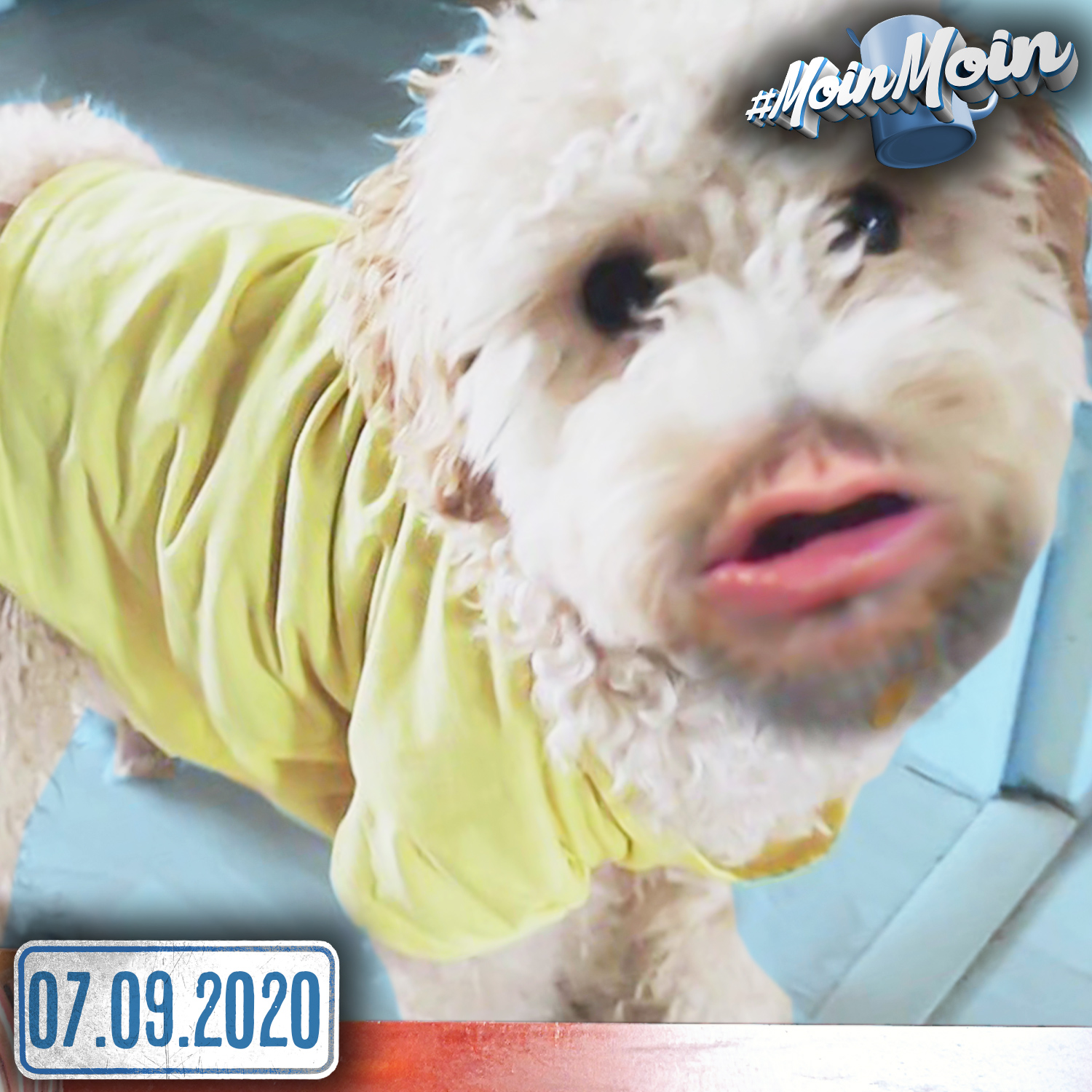 #1406 | Wie Simon kochen gelernt hat & Pöddl kriegt 'nen Pulli episode artwork