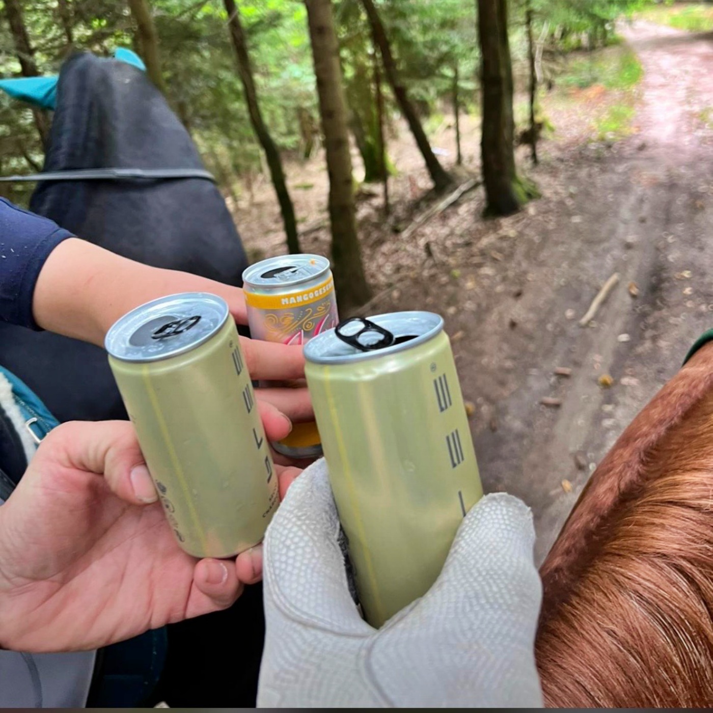#383 Alle müssen erst mal reiten