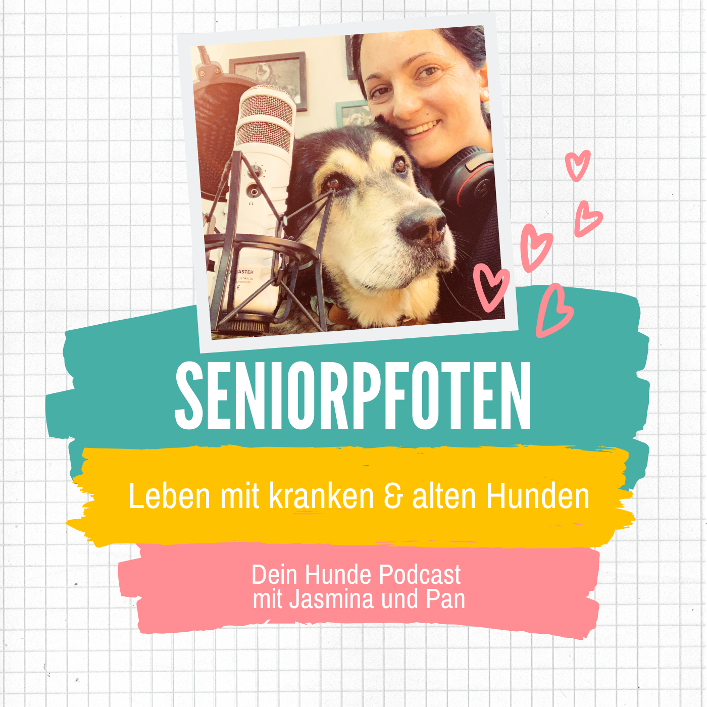 Seniorpfoten - Leben mit kranken & alten Hunden