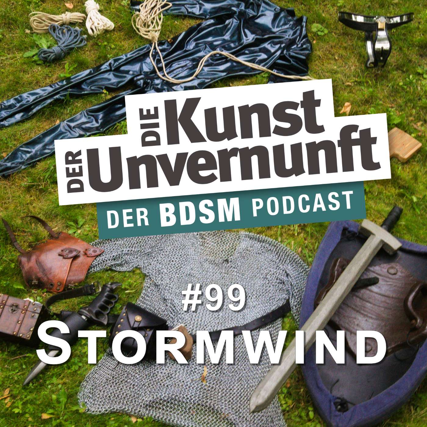 BDSM - Die Kunst der Unvernunft