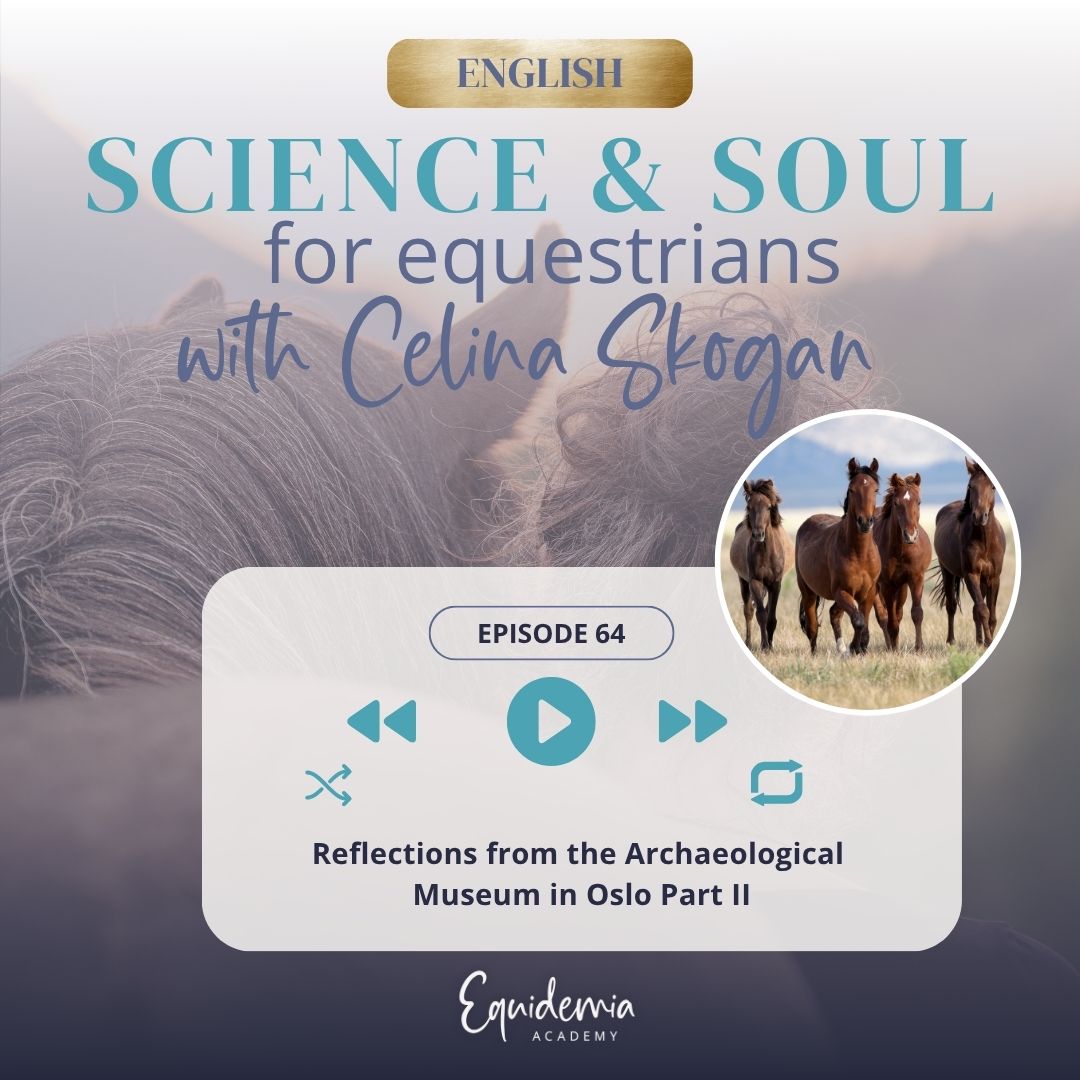 Horsefriends international