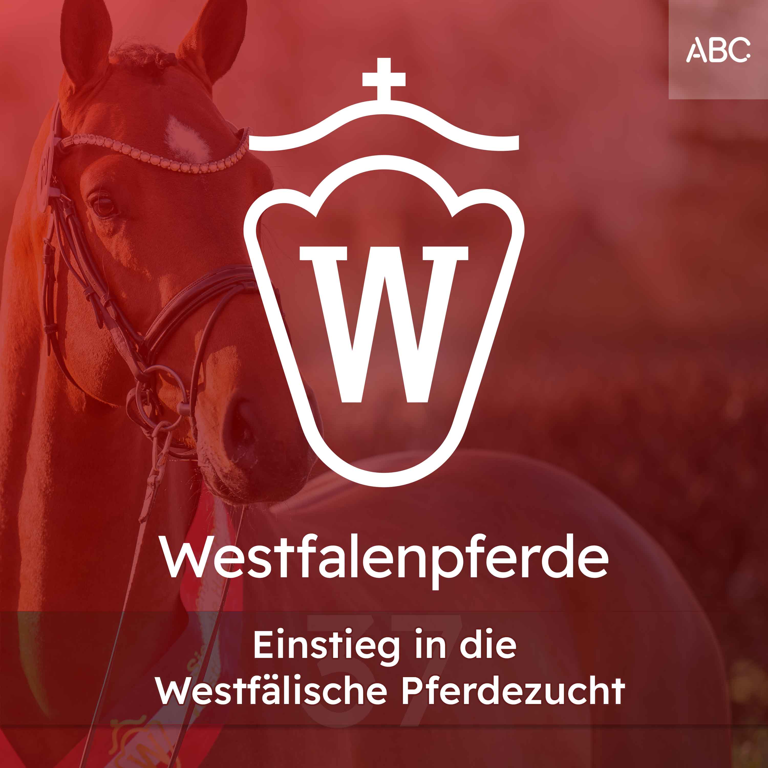 Westfalenpferde - Der Podcast