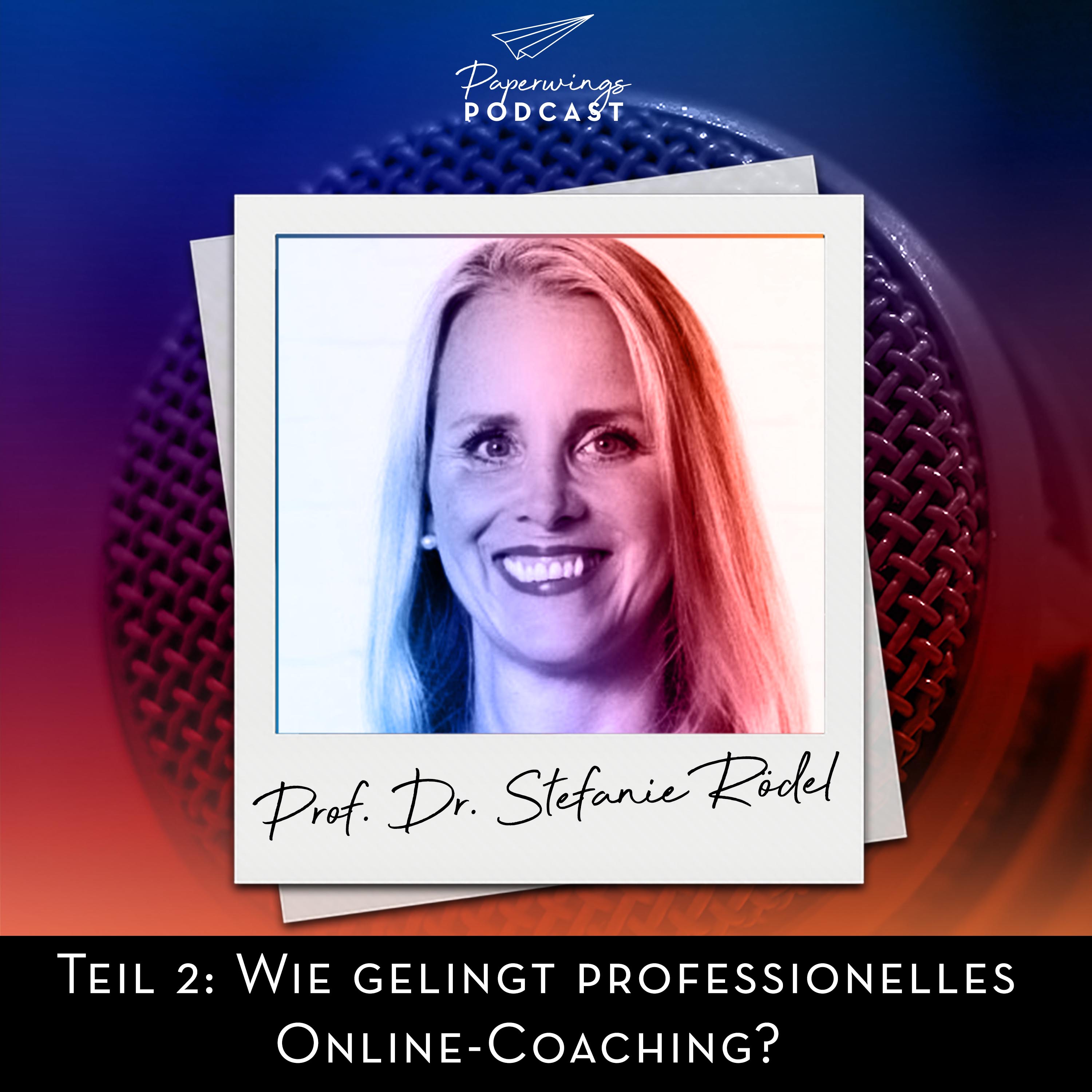 Paperwings Podcast - Danny Herzog-Braune und Gäste zur Organisations- und Persönlichkeitsentwicklung
