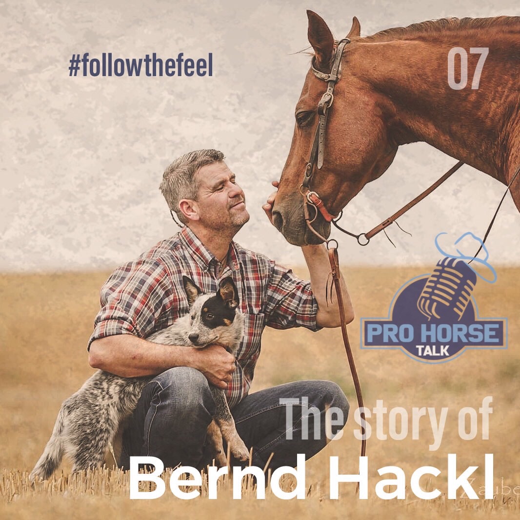 PRO HORSE TALK