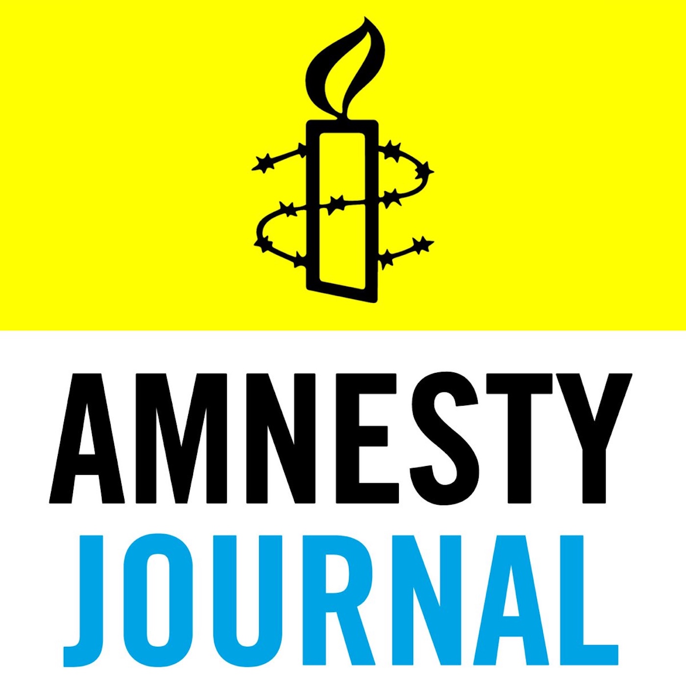 Amnesty Journal
