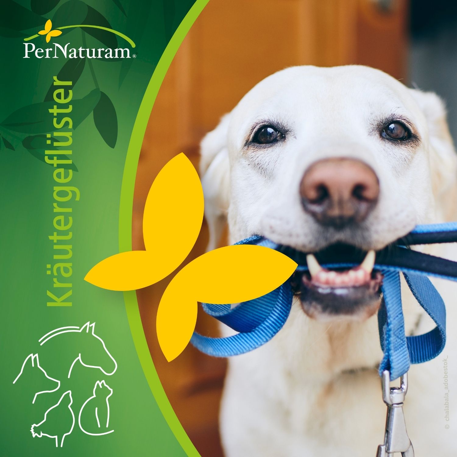 PerNaturam Kräutergeflüster