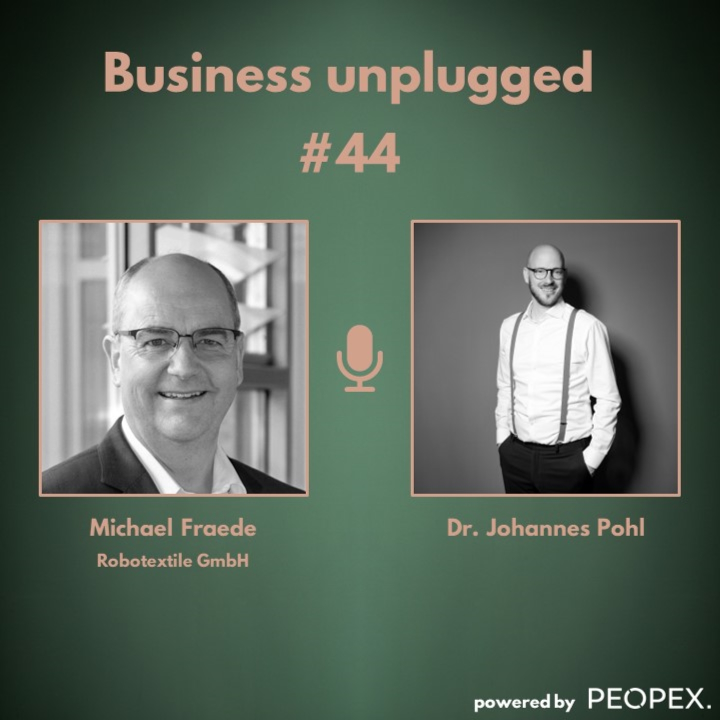 Business unplugged - Menschen, Unternehmen und Aspekte der Digitalisierung