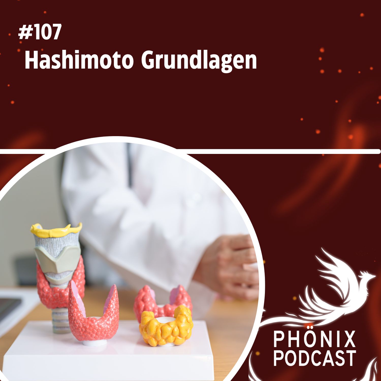 Hashimoto Grundlagen #107 - podcast episode cover