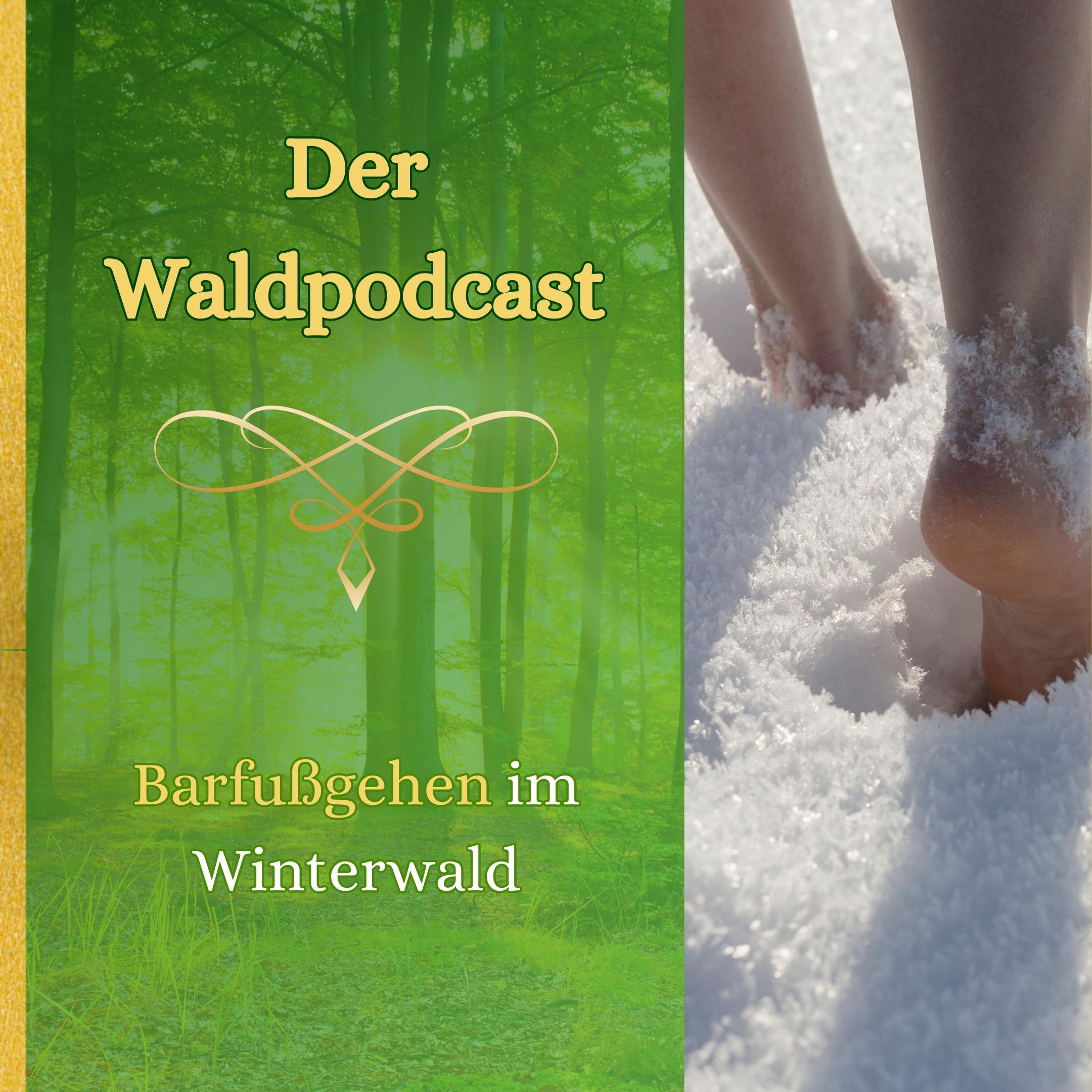 Waldpodcast - für deine innere & äußere Natur