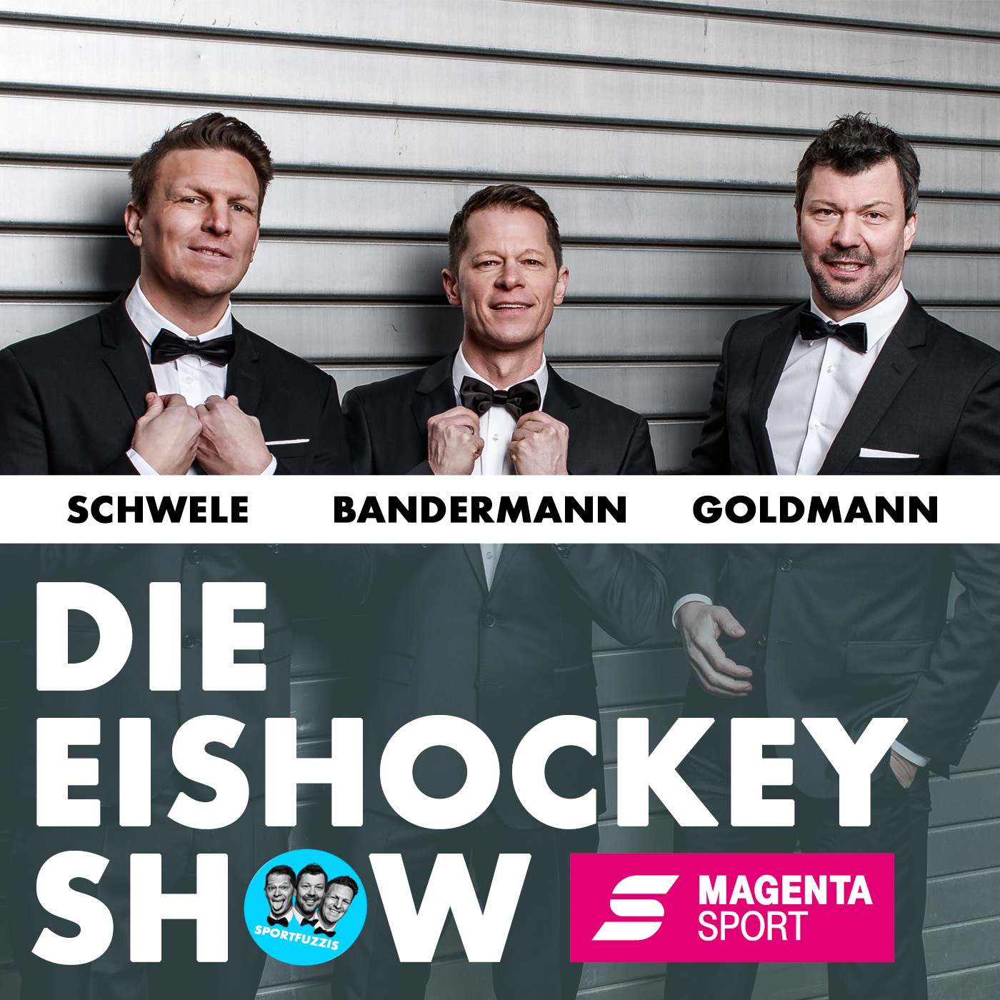 Die Eishockey Show