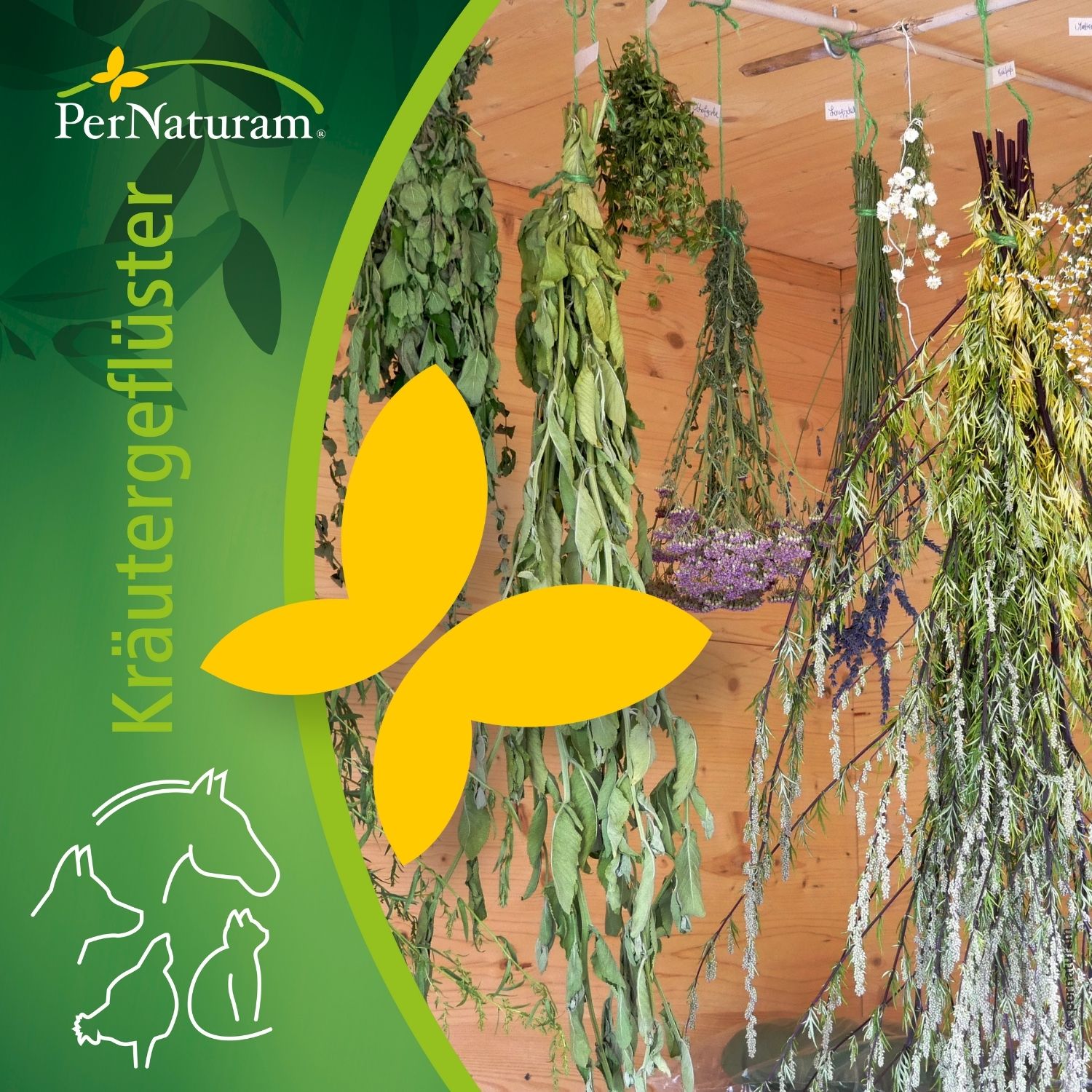 PerNaturam Kräutergeflüster