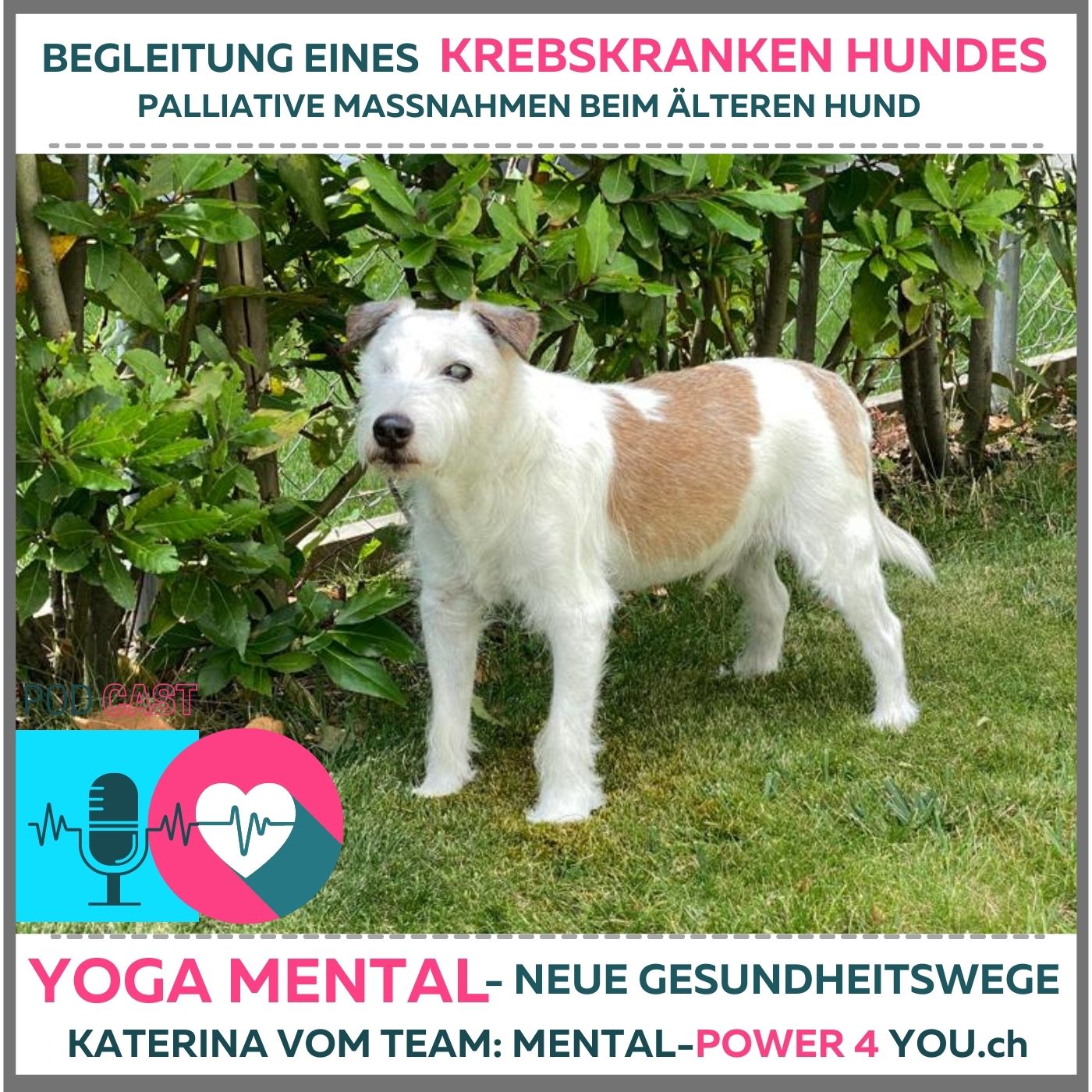 Yoga Mental - Neue Gesundheitswege - Mental-Power4you