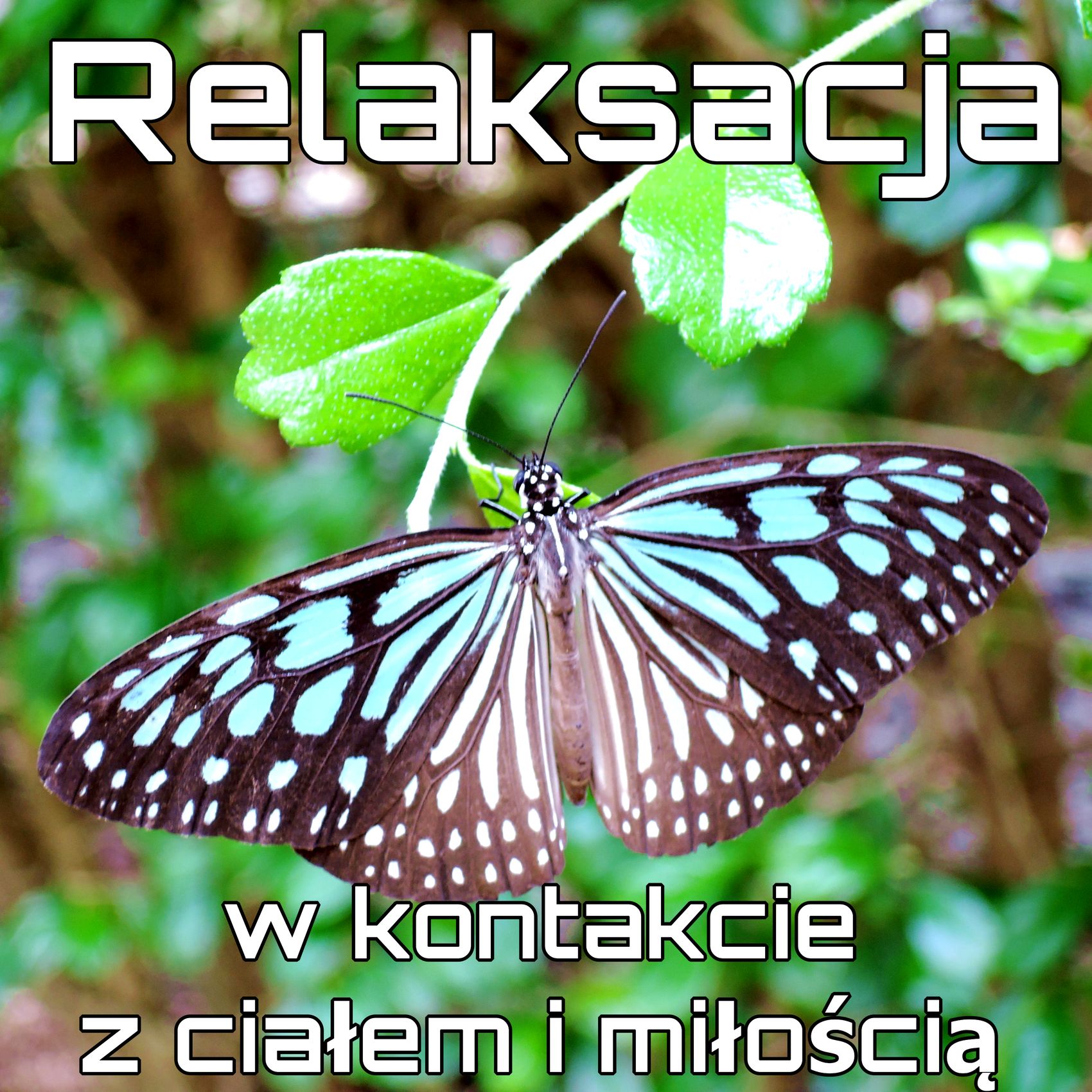 Spokojna miłość