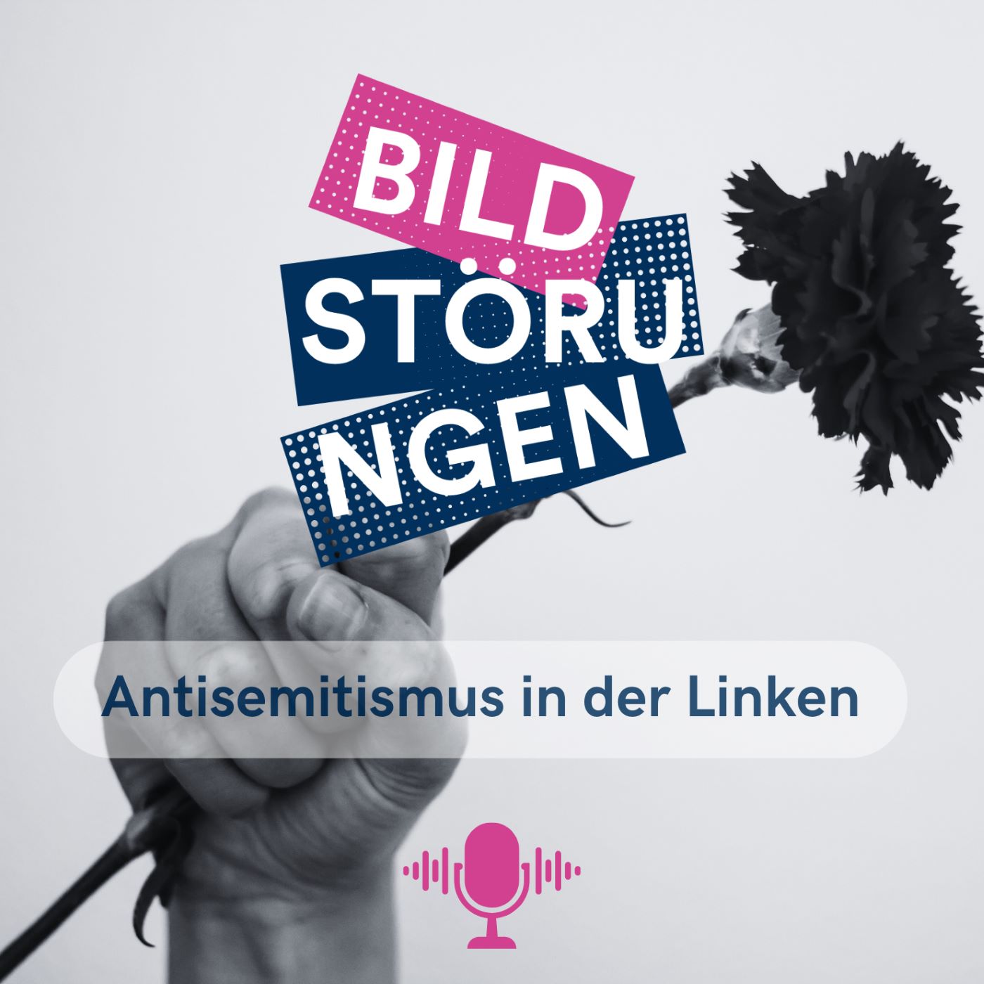 Bildstörungen