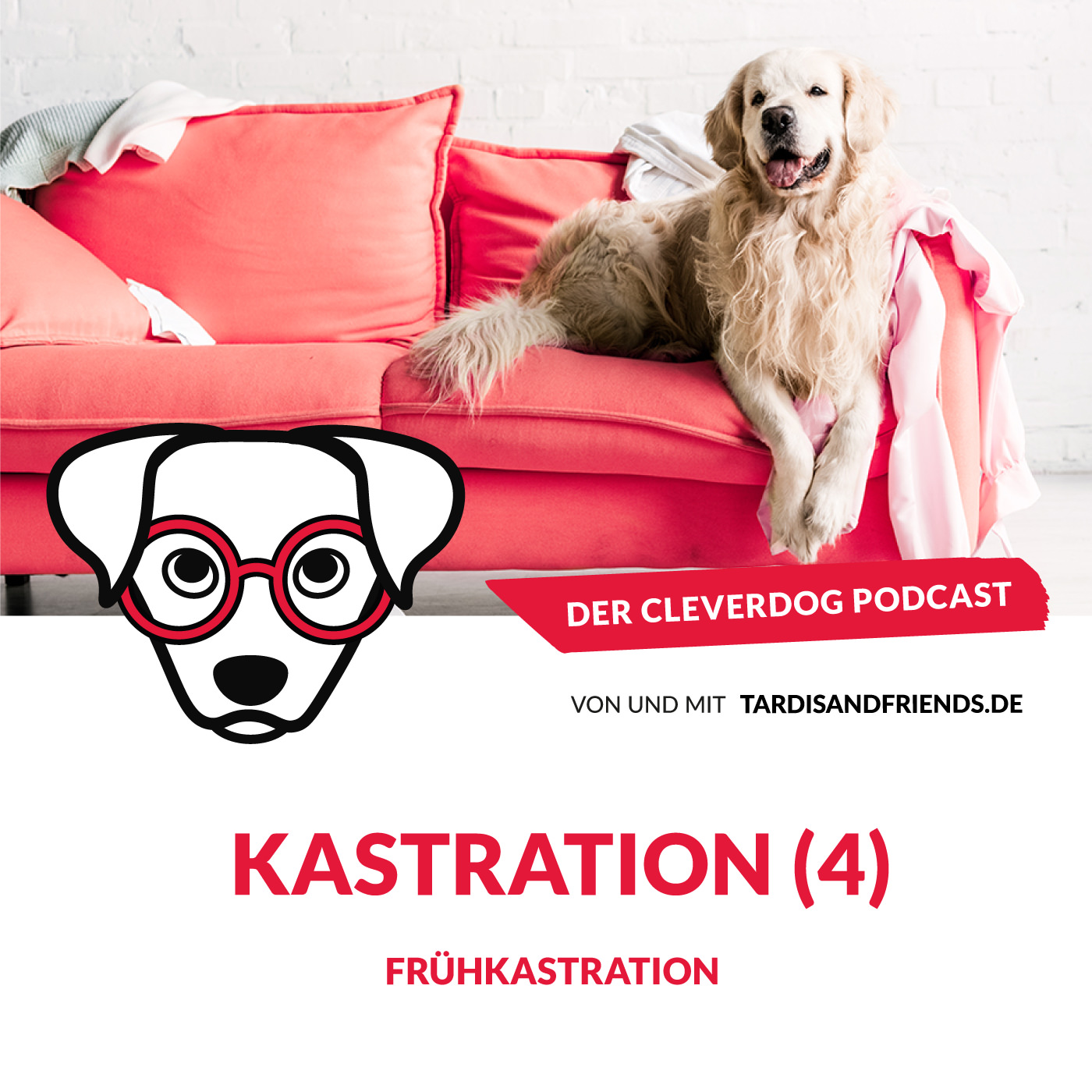 Der Cleverdog Podcast – mehr Wissen rund um den Hund!