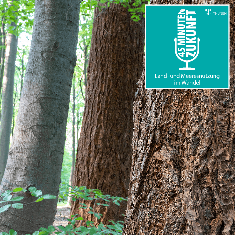 45 Minuten Zukunft. Land- und Meeresnutzung im Wandel