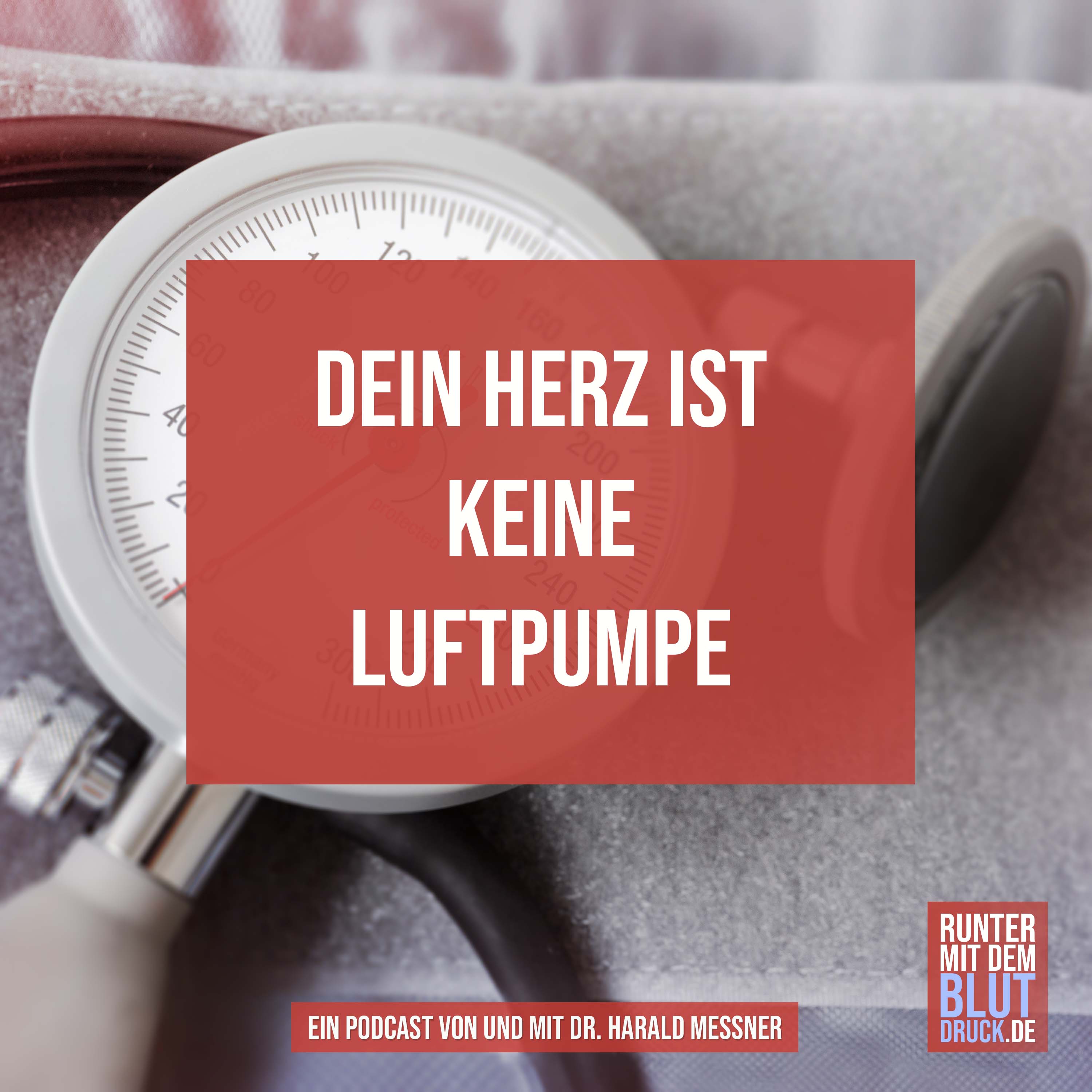 Runter mit dem Blutdruck