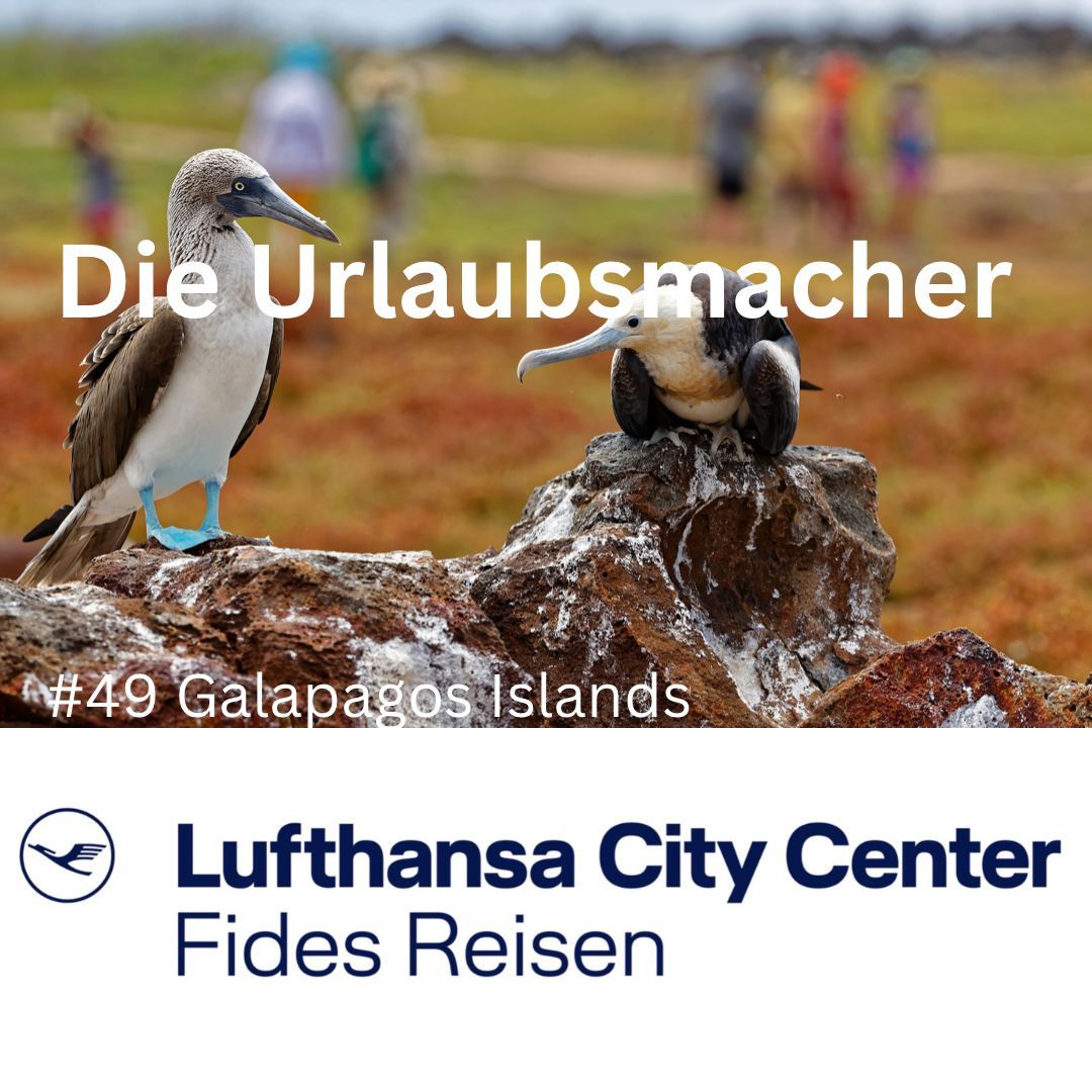 Reisepodcast Die Urlaubsmacher mit aussergewöhnlichen Reiseprofis von Fides Reisen