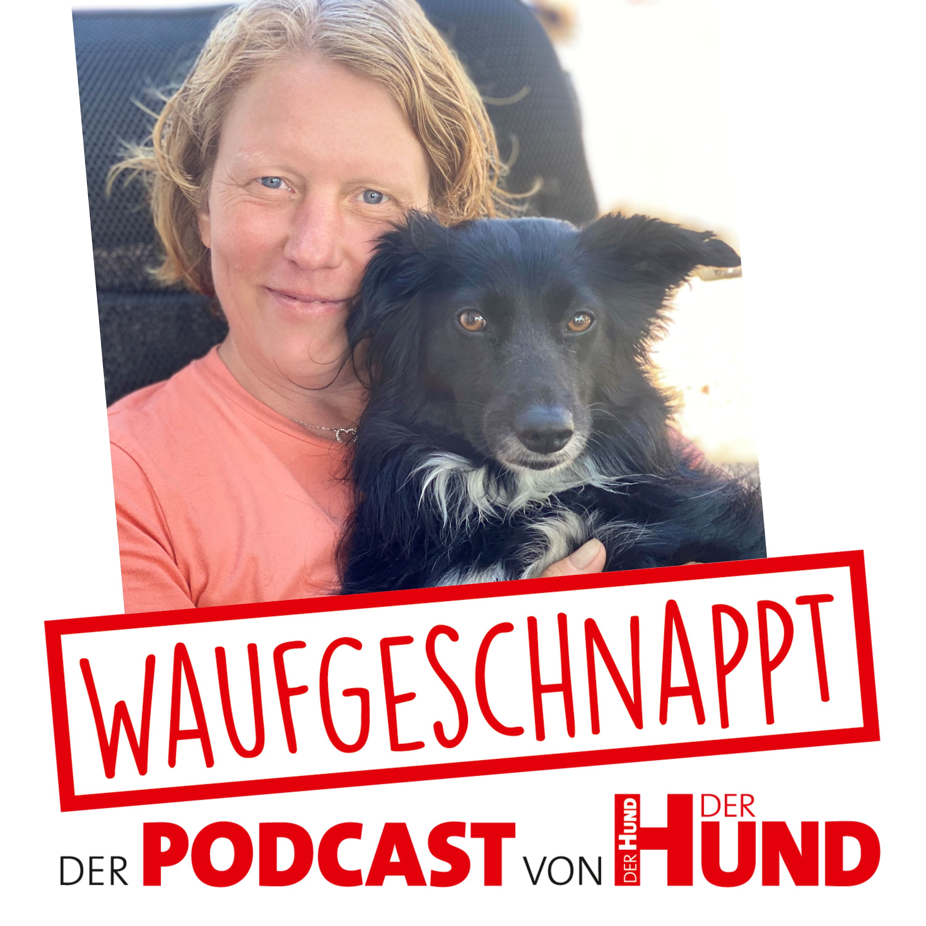 Waufgeschnappt - der Podcast von DER HUND