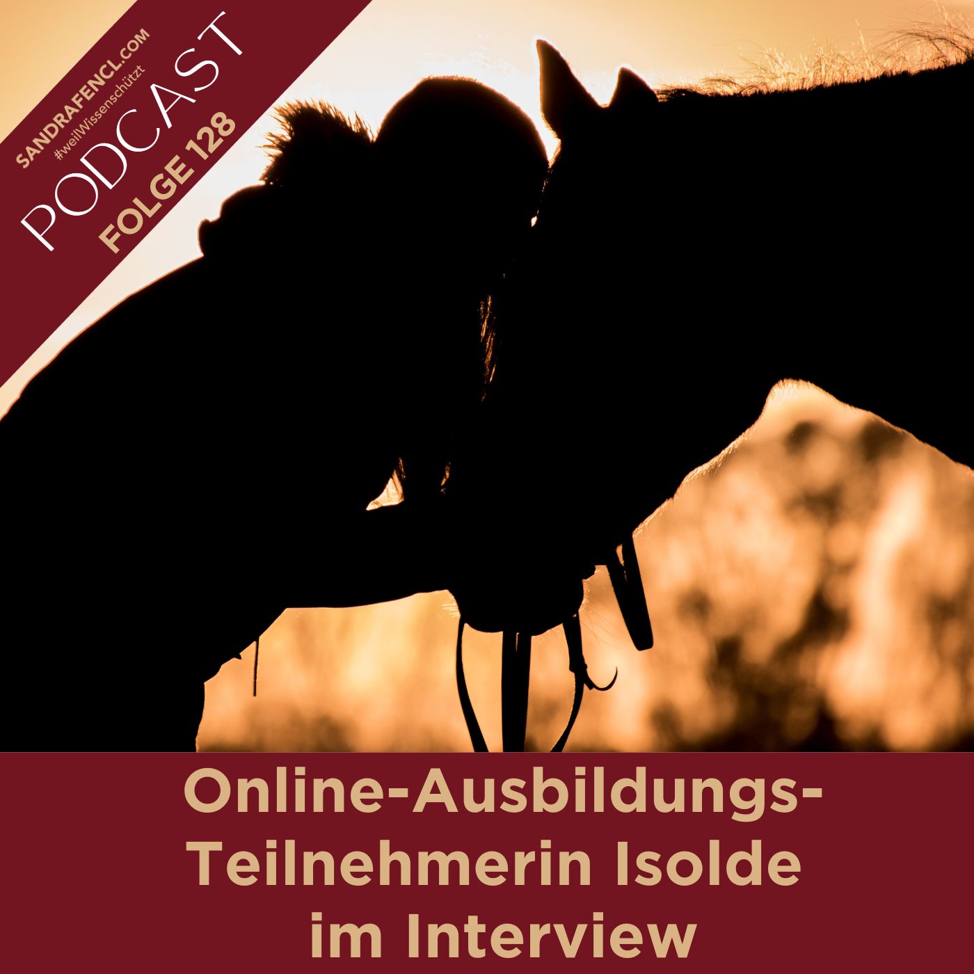 🏇 Online-Ausbildungs-Teilnehmerin Isolde im Interview 🤩