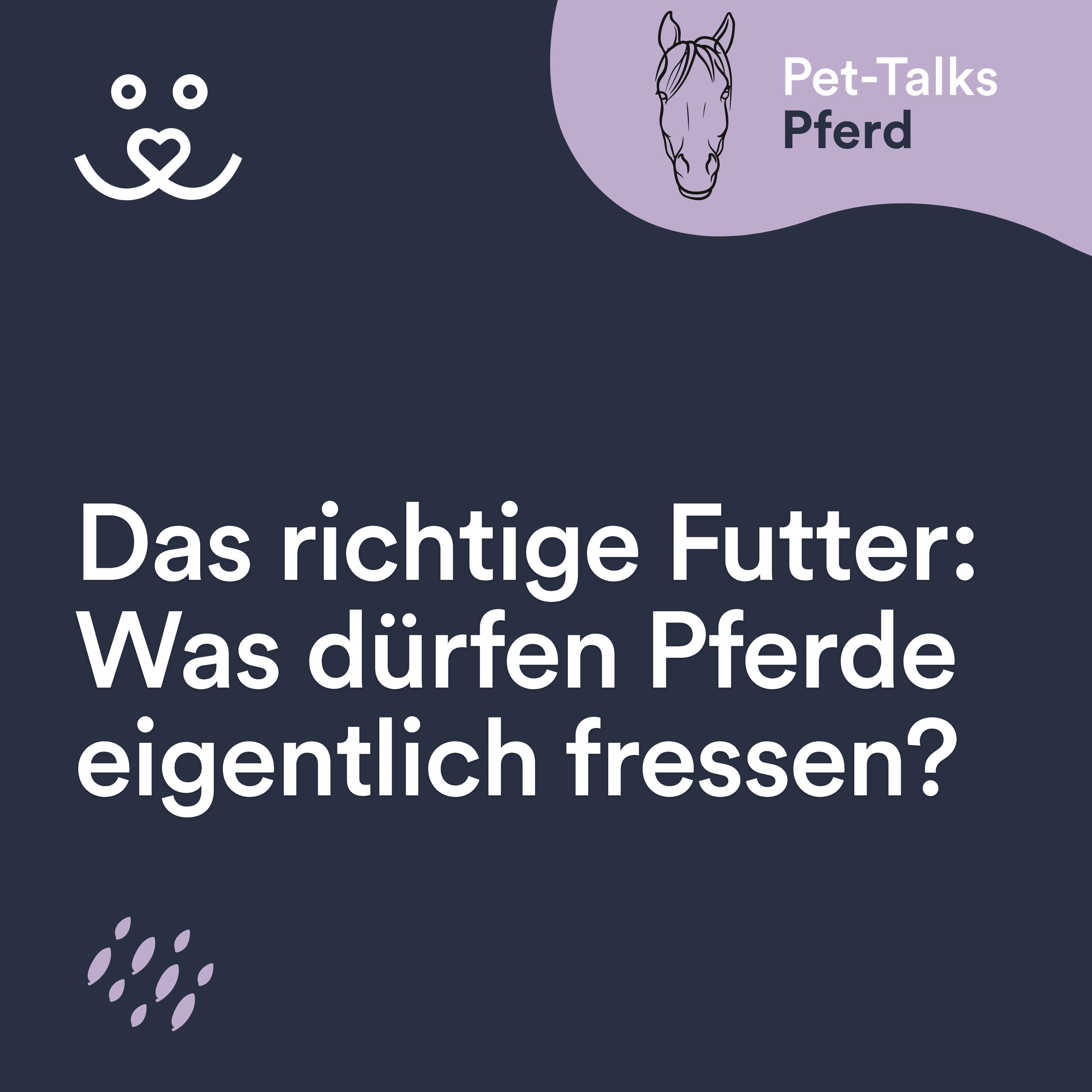 Pet-Talks: Pferd – der Ratgeber-Podcast von DeineTierwelt