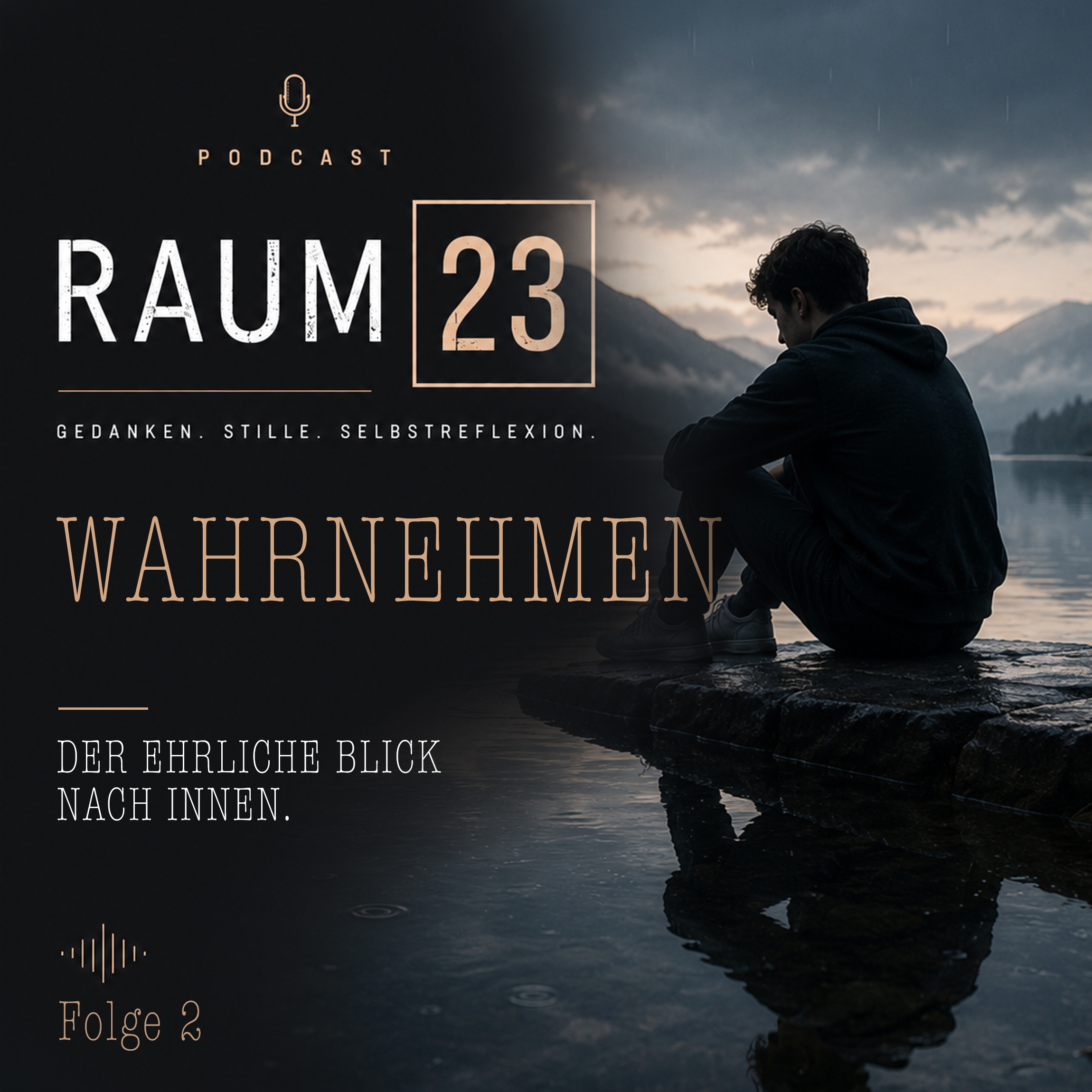 Wahrnehmen episode artwork