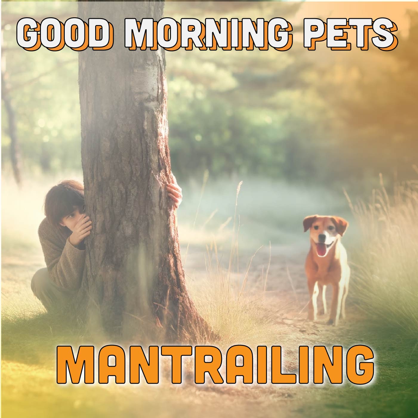 Good Morning Pets