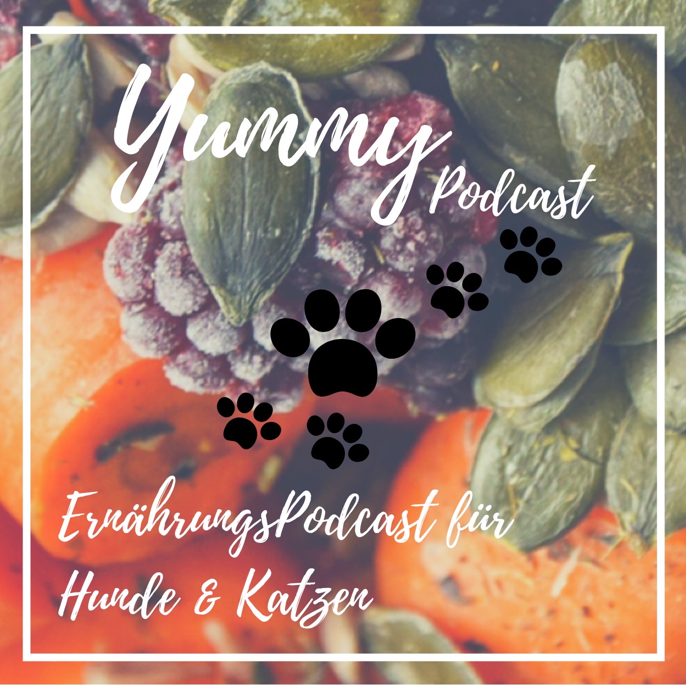 Yummy - Der ErnährungsPodcast für Hunde & Katzen