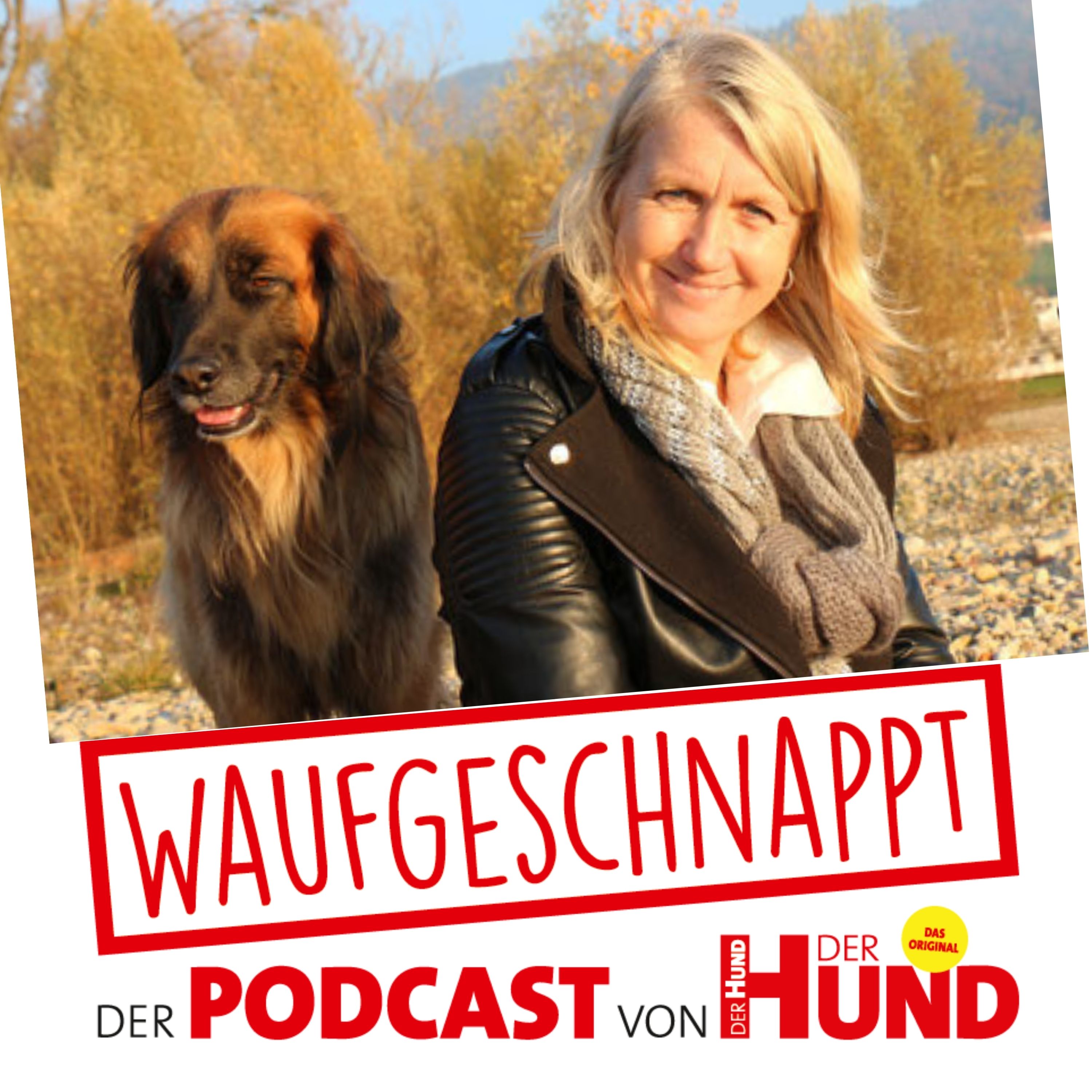 Waufgeschnappt - der Podcast von DER HUND