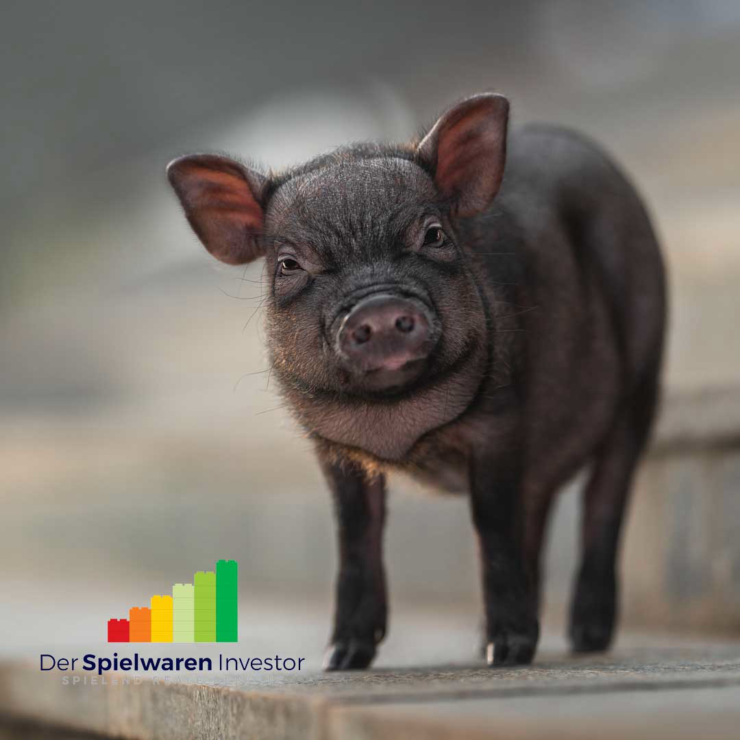 Der Spielwaren Investor - spielend reale Rendite!